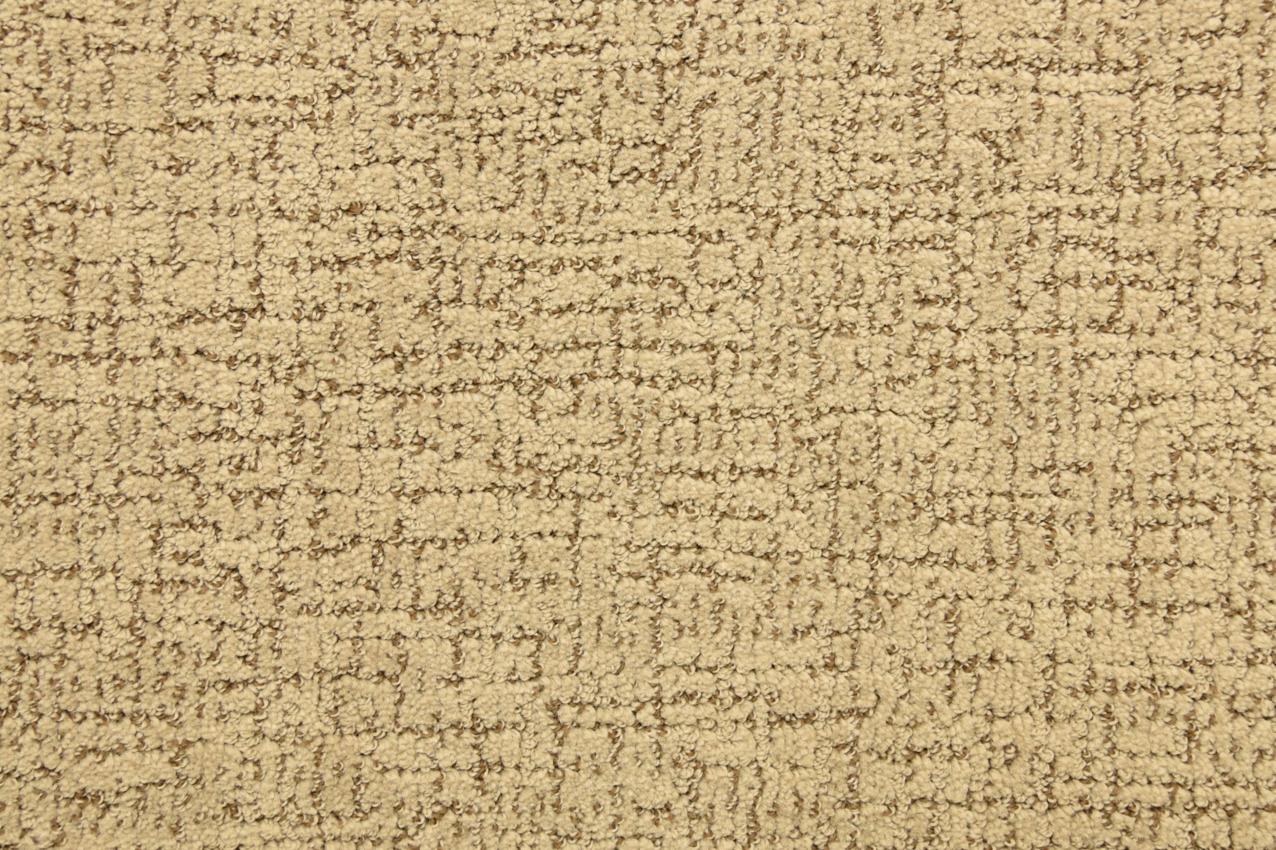 Buckskin