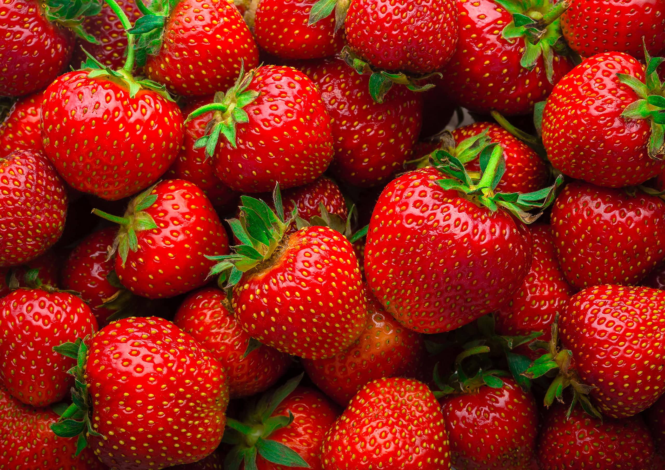 Organic Strawberry Powder 5 lbs - Freeze-Dried, Non-GMO, 100% Pure, Vegan, No Additives - Rich in Vitamin C & Fiber - Perfect for Smoothies, Baking, Yogurt Toppings, Protein Shakes & Healthy Snacks