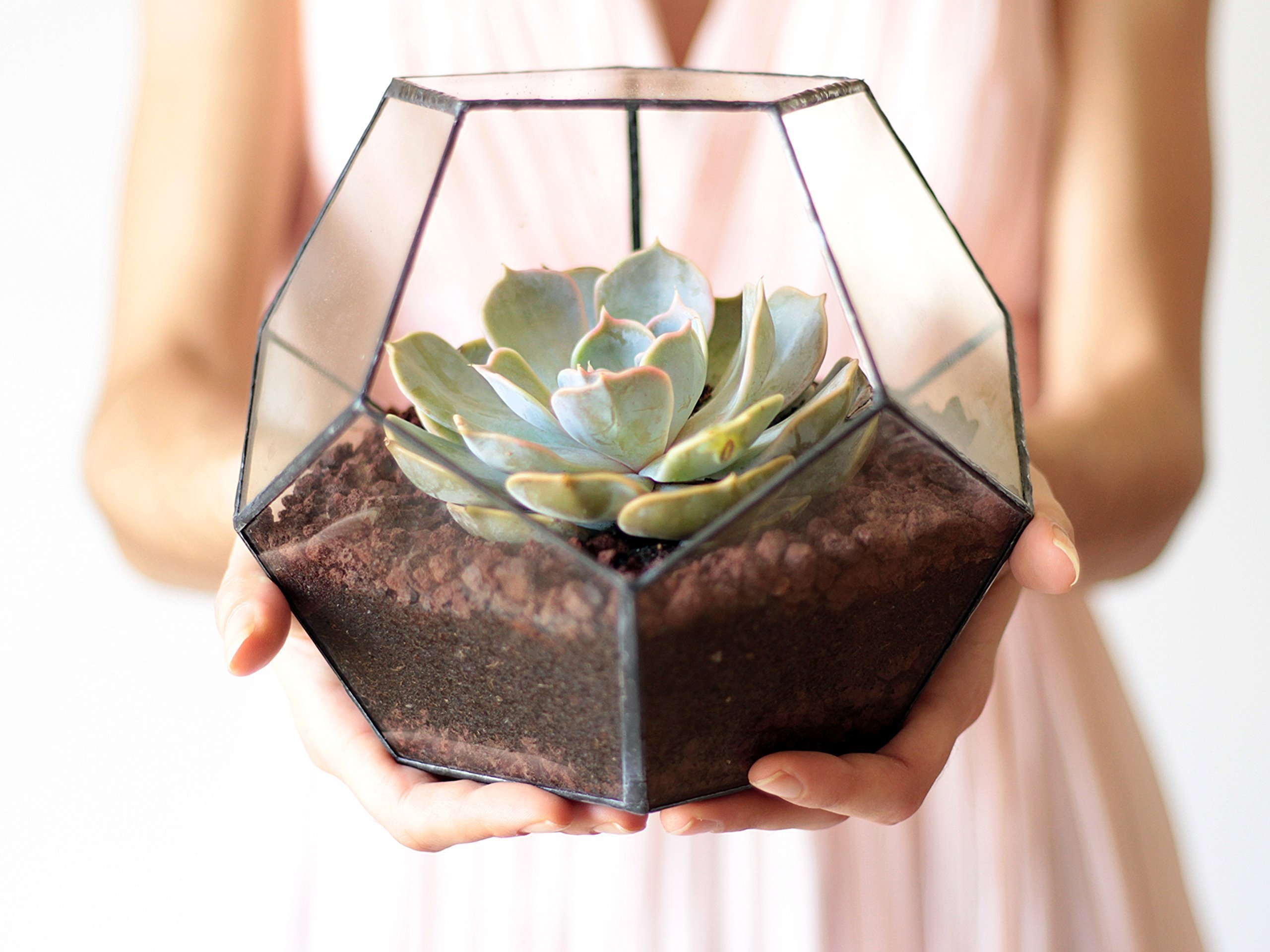 Glass Geometric Terrarium Planter - Dodecahedron Shape in Copper, Silver & Black | Indoor Plant Display for Home Decor, Office Desk & Gift Ideas