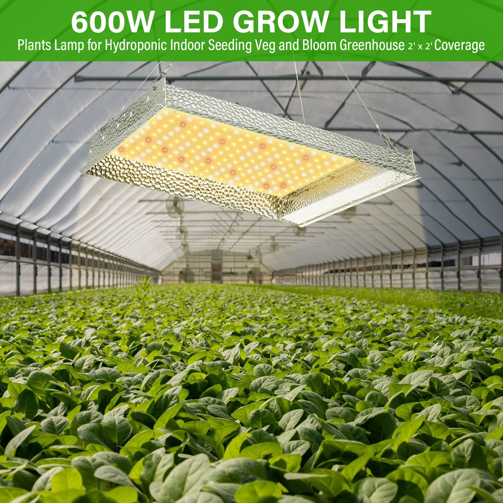 iPower 600W LED Grow Light Full Spectrum - Sunlike Plant Light for Hydroponic Indoor Plants, Seedlings, Veg & Bloom - Greenhouse Grow Lamp with 4x4ft Coverage (Silver) | Perfect for Indoor Gardening, Hydroponics Systems & Greenhouse Cultivation