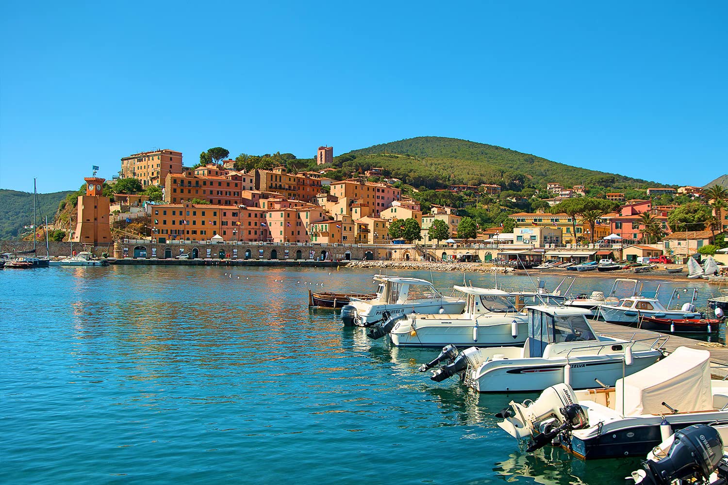 1000 Piece Elba Island Italy Jigsaw Puzzle for Adults & Kids - Educational Brain Teaser Toy, DIY Collectible, Modern Home Decor - Perfect Gift for Puzzle Lovers & Family Game Night