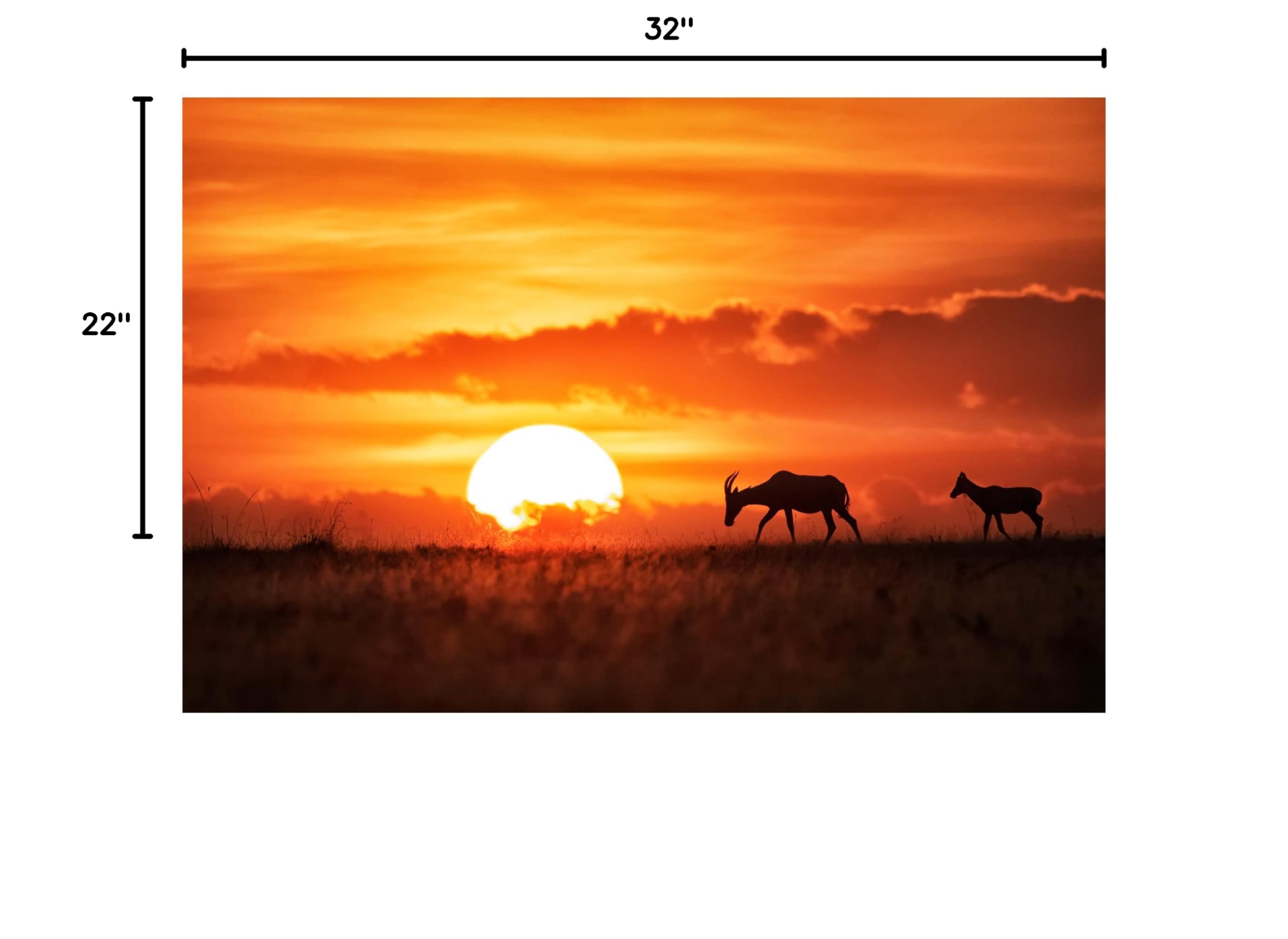 Trademark Fine Art 'Sun Rise' Canvas Art Print by Siyu and Wei - Stunning Sunrise Landscape Wall Decor for Living Room, Bedroom & Office