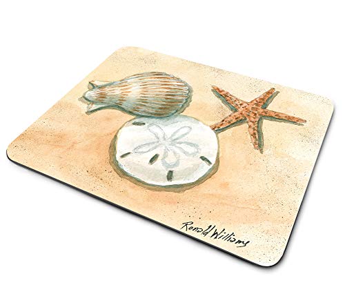 Sanddollar Shells