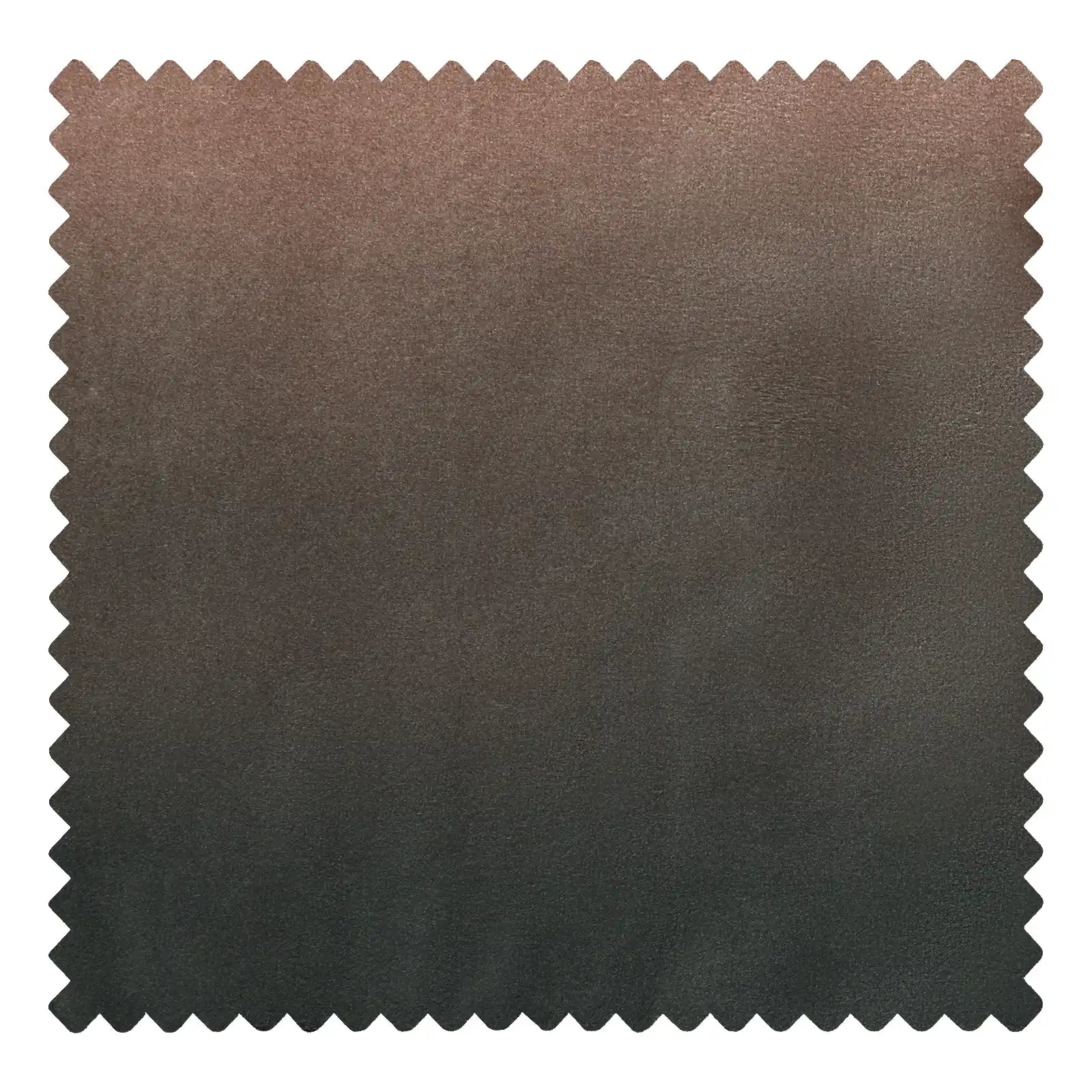AY8 Ombre Shades Earthy - Natural Gradient Eyeshadow Palette for Everyday Makeup | Perfect for Daytime, Evening & Special Occasions