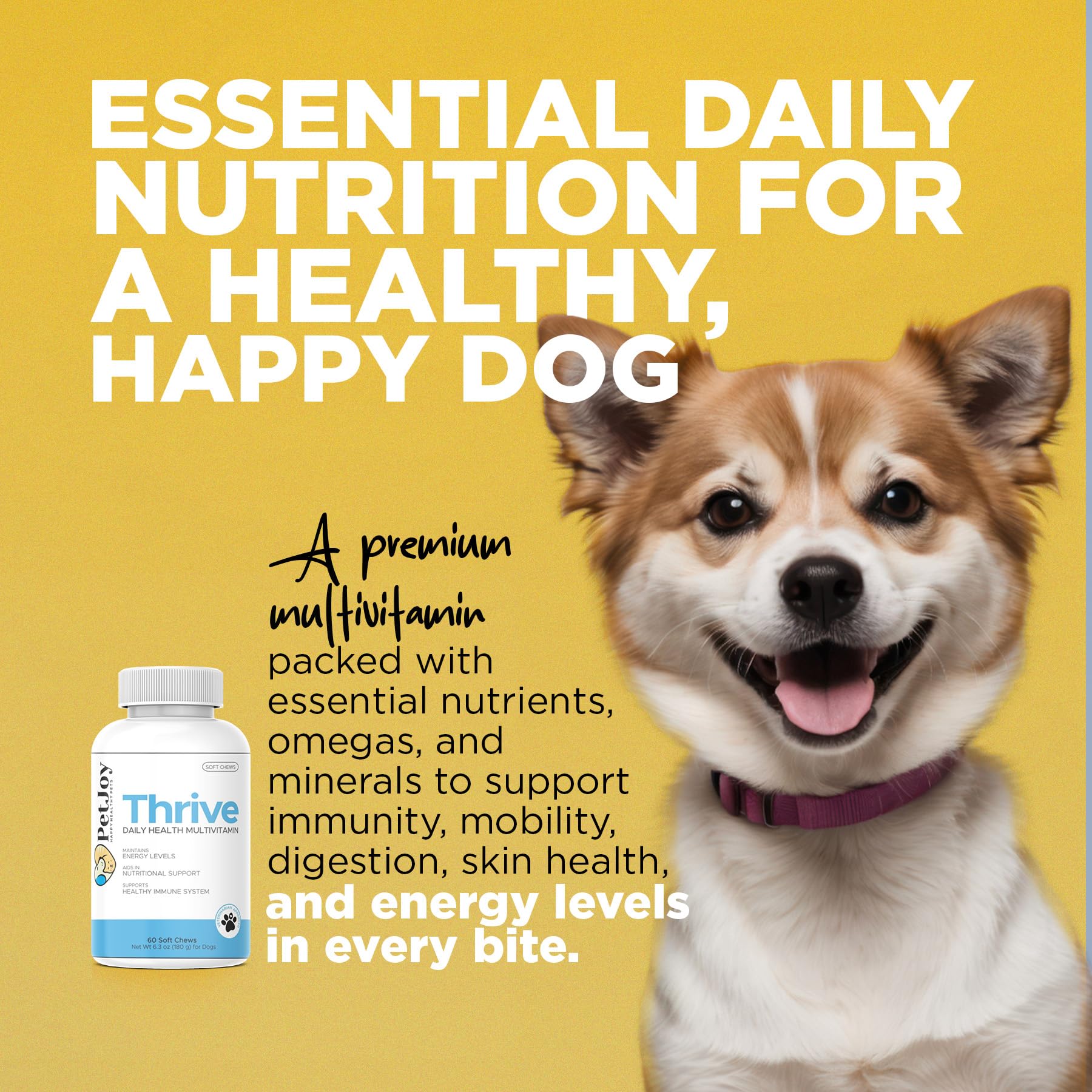 PetJoy Thrive Dog Multivitamin Soft Chews - Daily Supplement for Energy, Skin & Coat Health, Strong Bones & Teeth - Complete Multivitamin for Dogs & Pets (60 Count) - Perfect for Active Dogs & Senior Pets