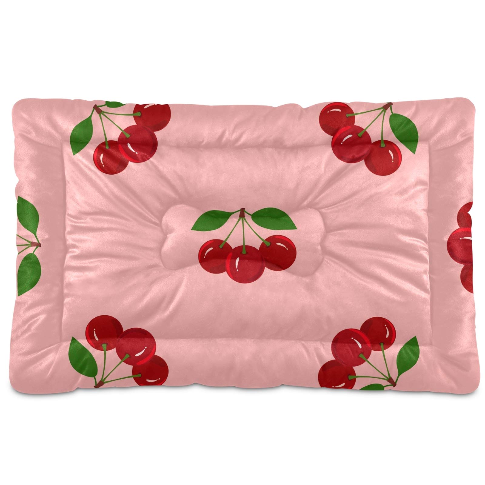 Washable Dog Crate Mat Mattress for Large Medium Small Dogs - Cherry Fruit Design Pet Bed Pad 24x18 Inches (21003650) - Perfect for Crates, Kennels & Home Use