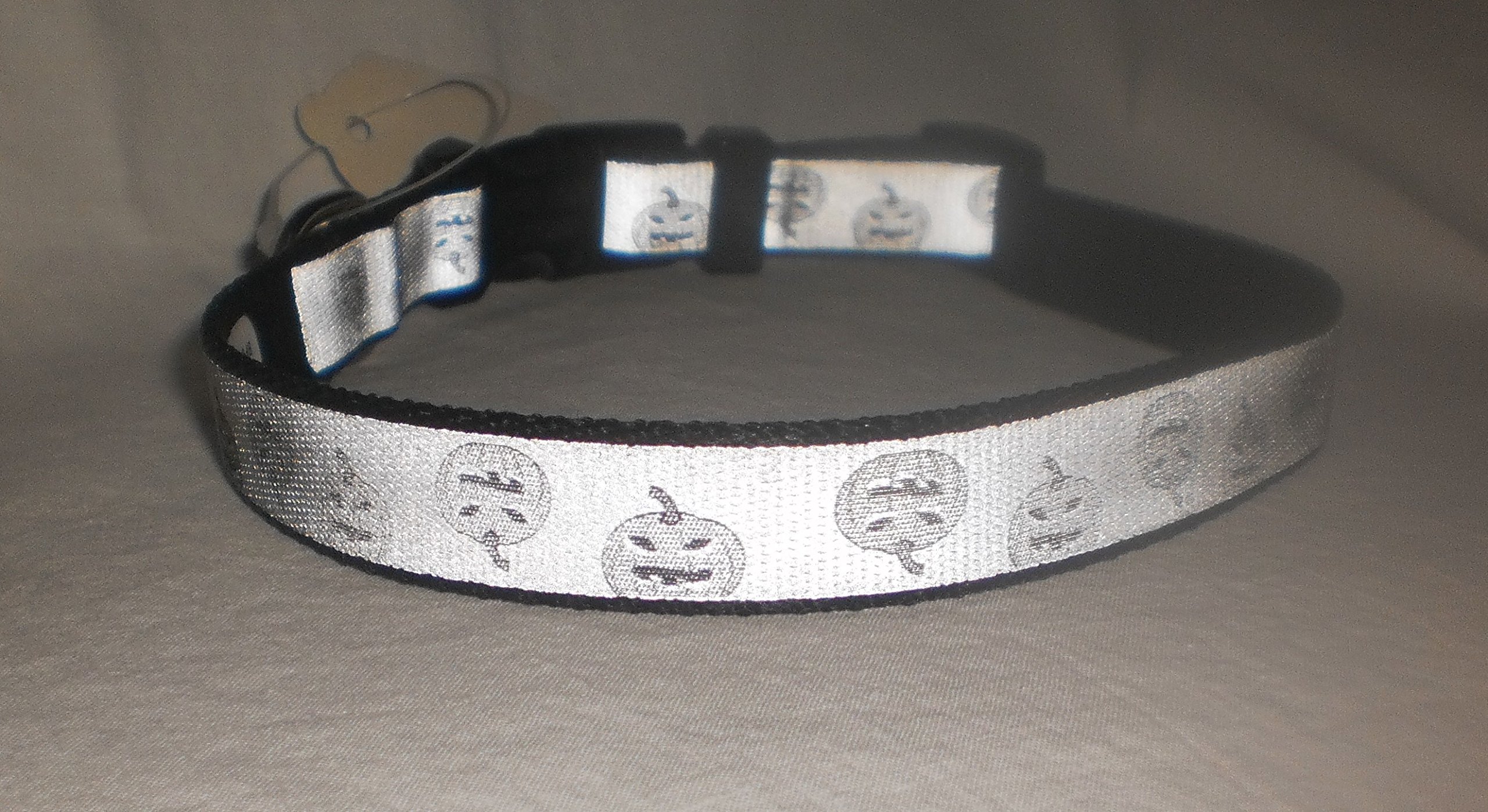 Petco Adjustable Reflective Pumpkin Dog Collar for Small Breeds - Perfect for Halloween Night Walks & Safety Visibility