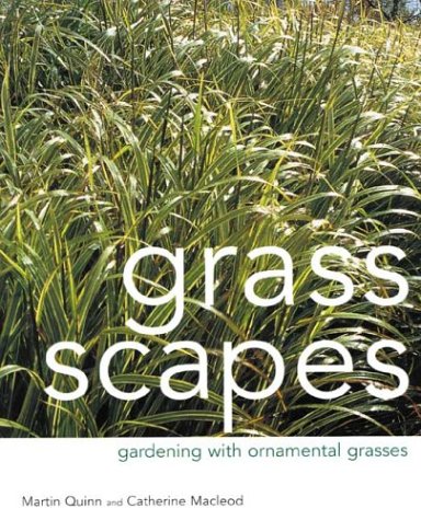 Ornamental Grasses for Landscaping - Low Maintenance Perennial Garden Plants for Borders, Rock Gardens & Outdoor Decor