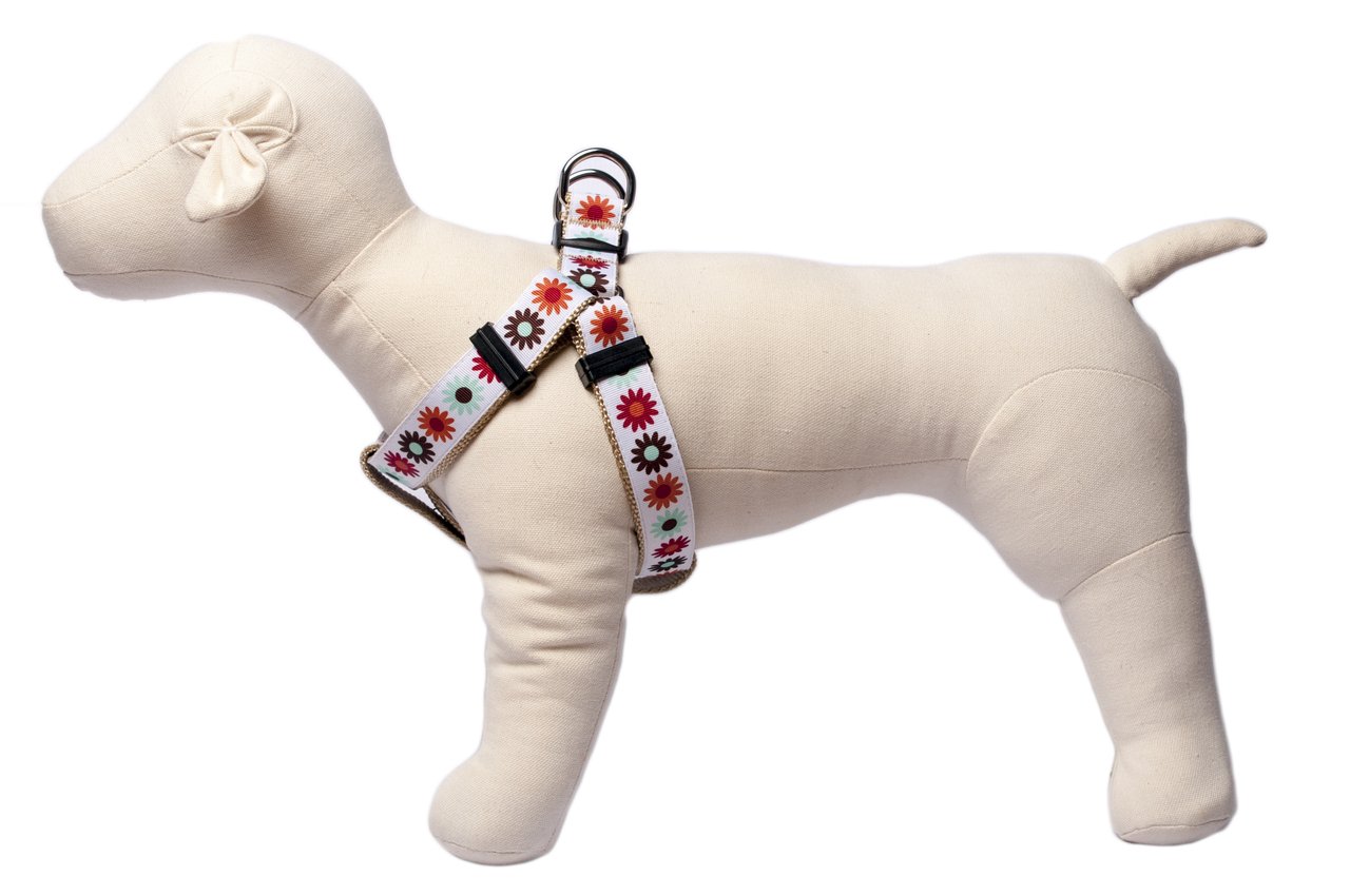 Paw Paws Hula Hoop Collection - Floral Dog Collar with Step-in Harness, Adjustable 10
