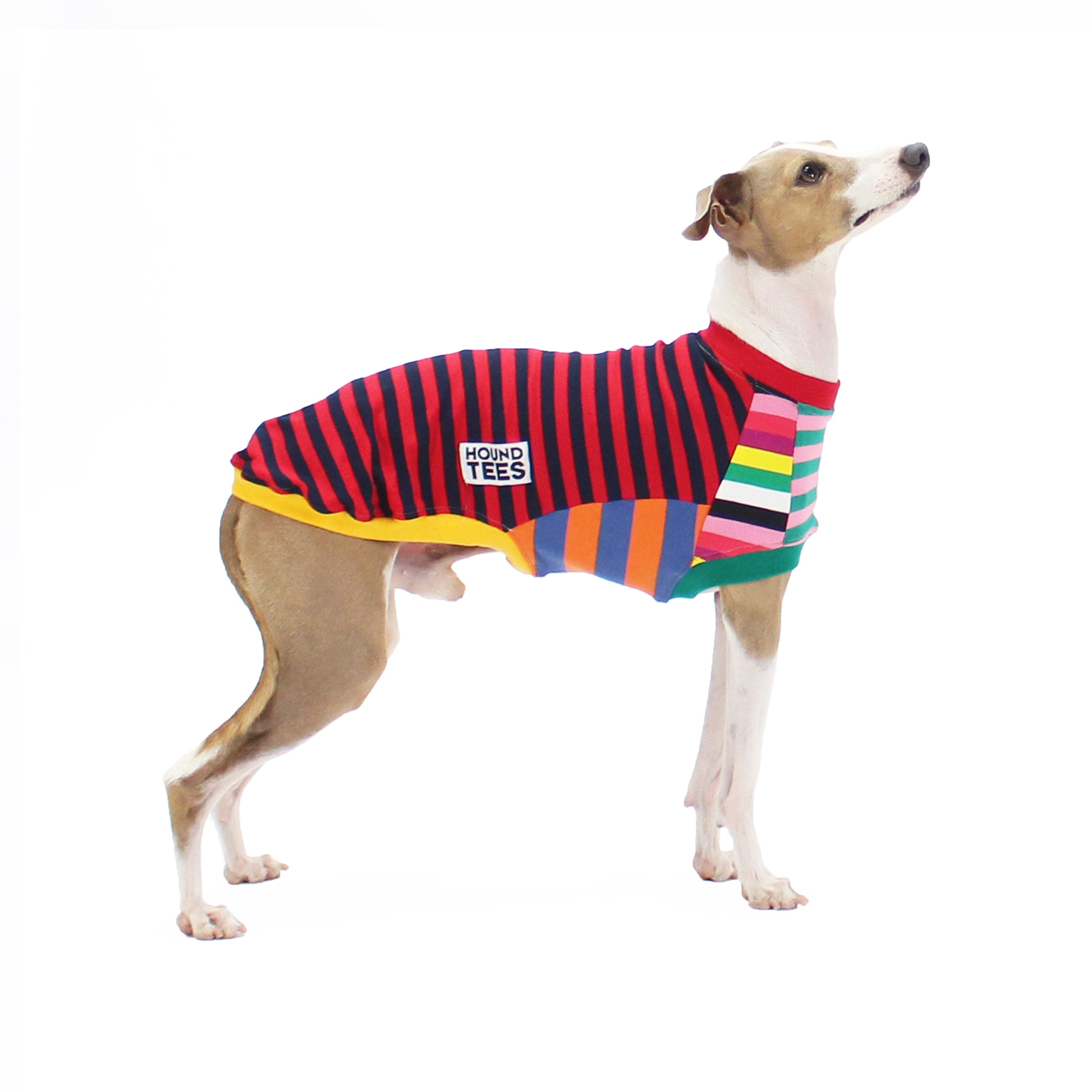 Frankie Italian Greyhound Sleeveless Hound Tee - Comfortable Dog T-Shirt for Small Breeds, Perfect for Summer Walks & Outdoor Adventures