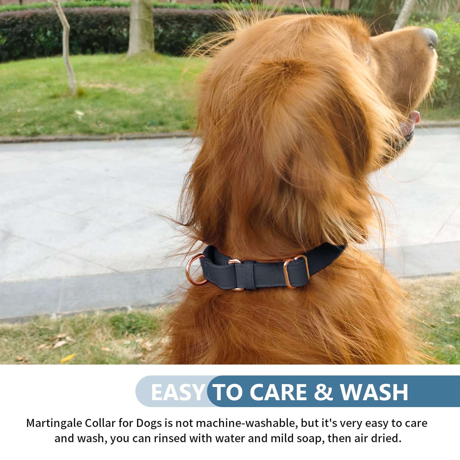 Premium Soft Leather Martingale Dog Collar - Adjustable Rose Gold Slip Collar for Small Medium Large Dogs | No Pull Training Collar with Heavy Duty Nylon | Easy to Clean & Durable | Perfect for Daily Walks, Training Sessions & Outdoor Adventures (Black, Size M)