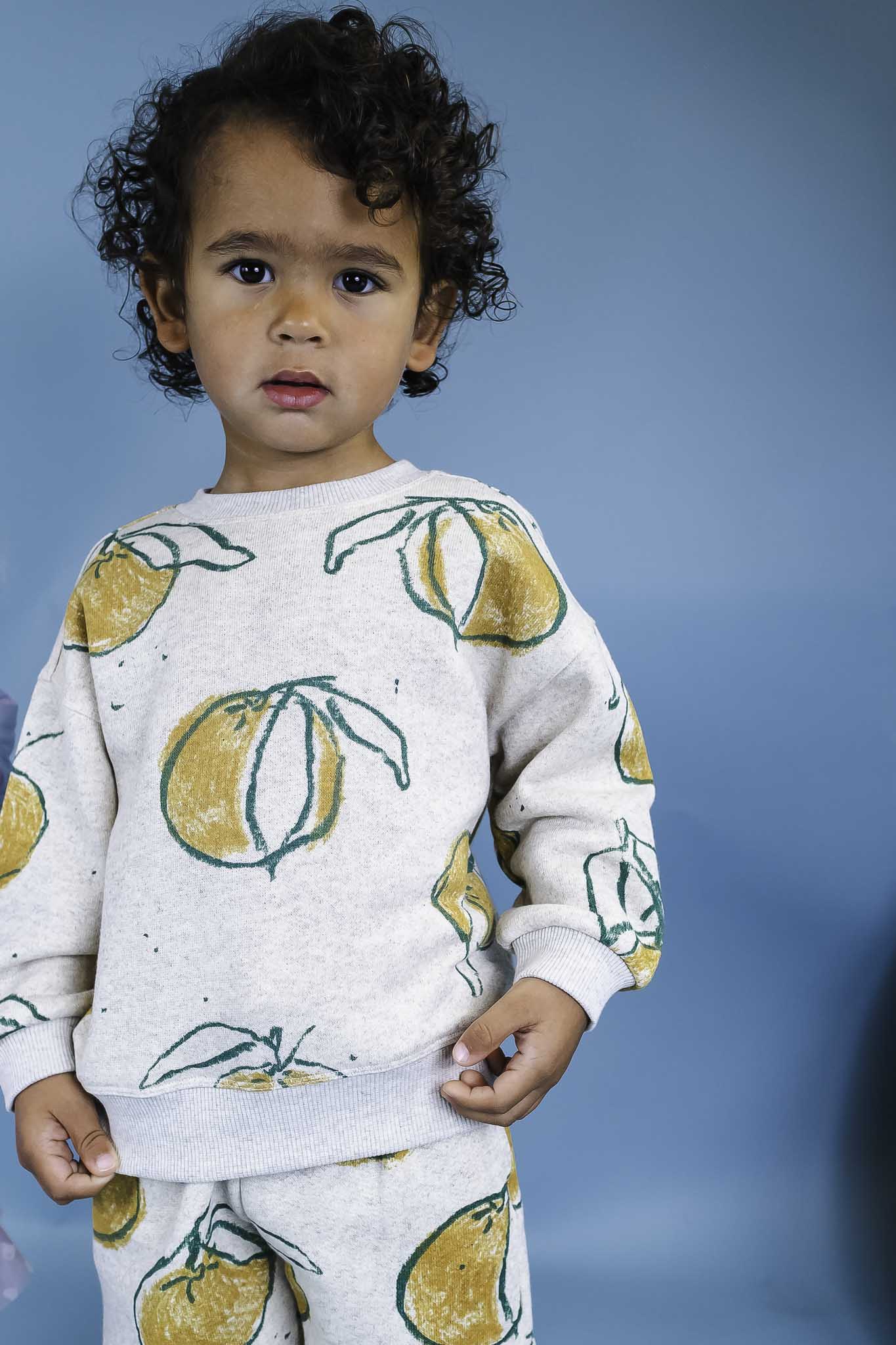 Soft Fruit Print Fleece Sweatshirt for Toddlers - Unisex Cozy Pullover for Boys & Girls | Perfect for Playdates, Preschool & Family Outings