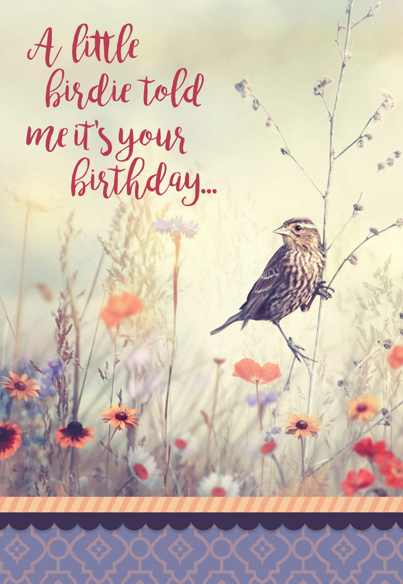 Premium DGR Birthday Greeting Cards - Box of 12 Marvelous Works Greeting Cards for All Occasions | Perfect for Birthdays, Anniversaries & Special Celebrations