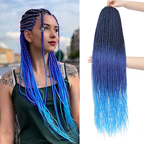 1B/Purple/Blue