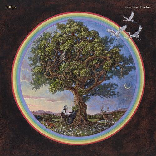 Bill Fay - Countless Branches (Deluxe Edition) Vinyl Record | Folk Rock Music Album | Perfect for Collectors & Audiophiles | Great for Relaxing Evenings & Music Enthusiasts