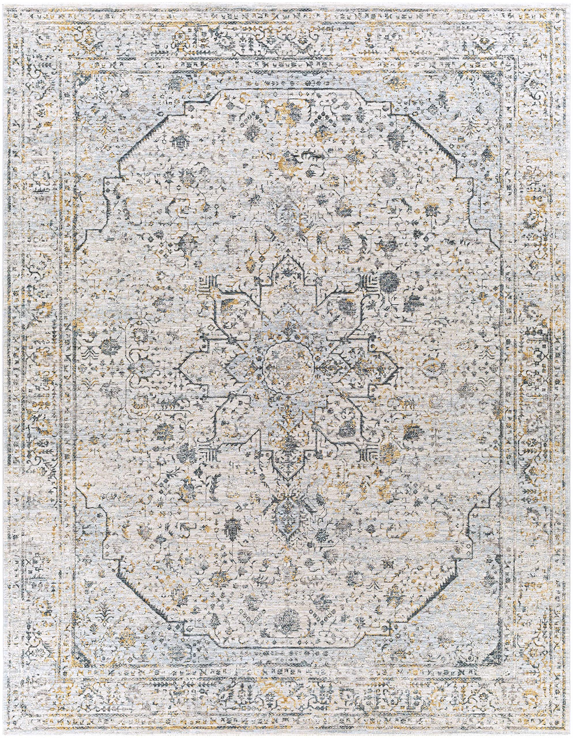 Hauteloom Anmoore Soft Area Rug for Living Room & Bedroom - 5'3