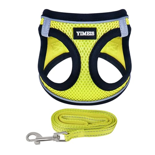 Fluorescent yellow