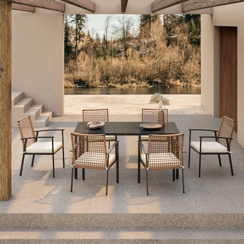 Pe Rattan Black Standard Chairs