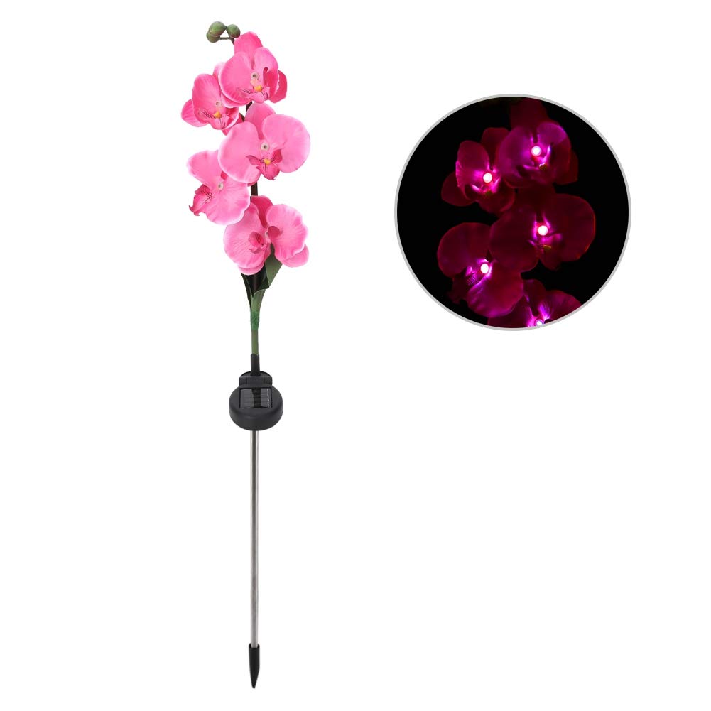 Ymiko Solar Garden Stake Lights - Waterproof Solar Flower Lights with 5 Moth Orchid Landscape Lighting for Outdoor Garden, Patio, Yard Decoration | Perfect for Pathway, Lawn, Flower Bed & Backyard Ambience