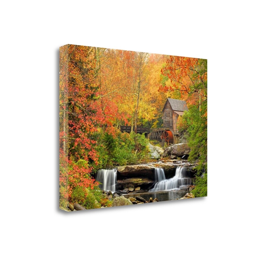 Autumn Splendor By Elizabeth Carmel - Premium Giclee Art Print on Gallery Wrapped Canvas - Ready to Hang Wall Decor for Living Room, Bedroom & Office