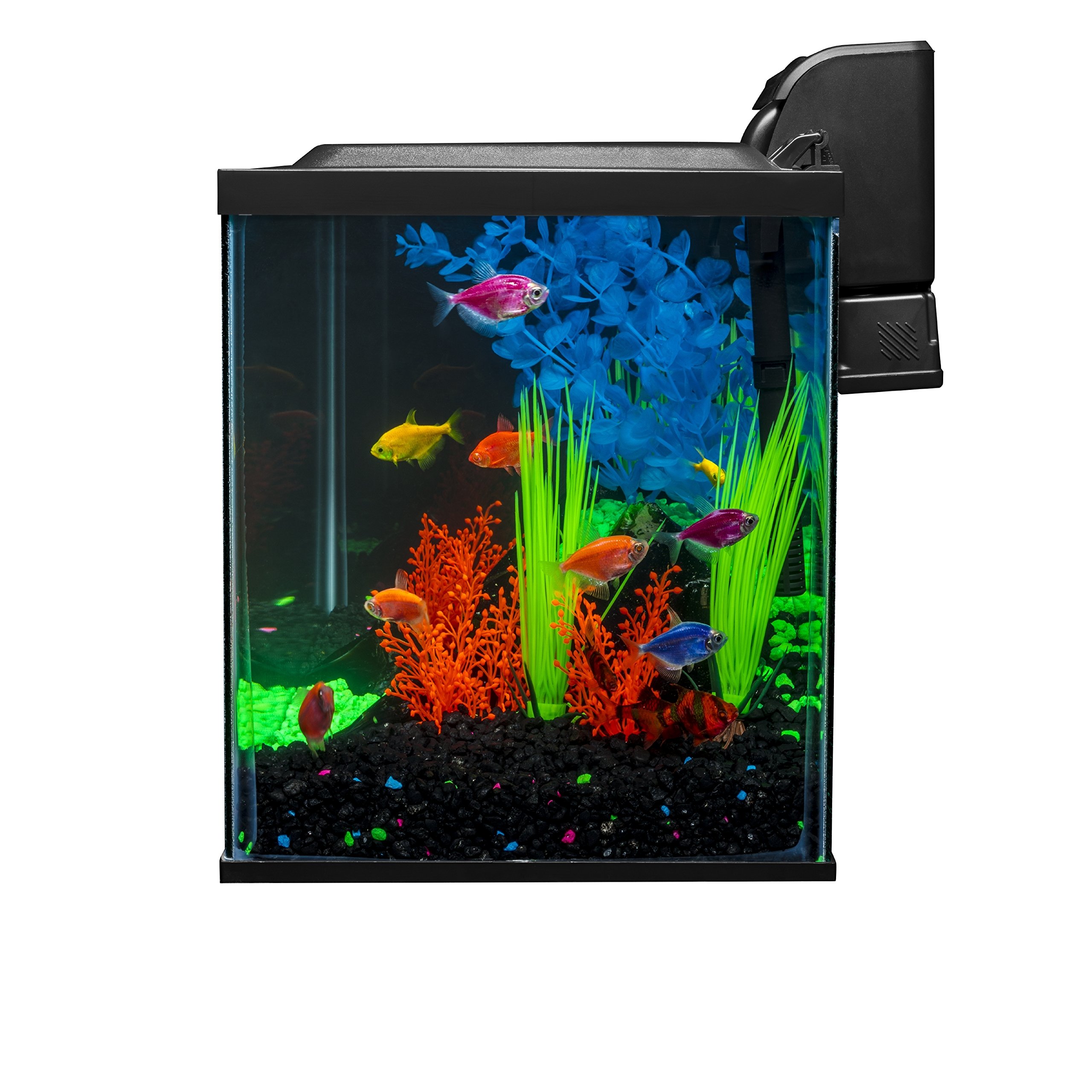 Glofish 10 Gallon Aquarium Fish Tank Kit with LED Lighting & Decorations - Complete Starter Kit for Beginners | Perfect for Home, Office, or Classroom Aquarium Setup (Amazon Exclusive)