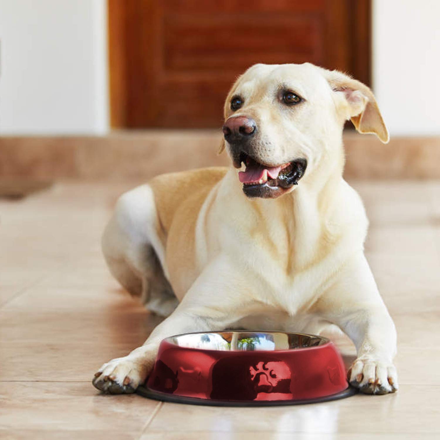 Premium Red Pet Food Bowls with Non-Slip Silicone Base - Durable Dog & Cat Feeding Dishes for Home Use - Perfect for Mealtime, Travel, and Outdoor Feeding