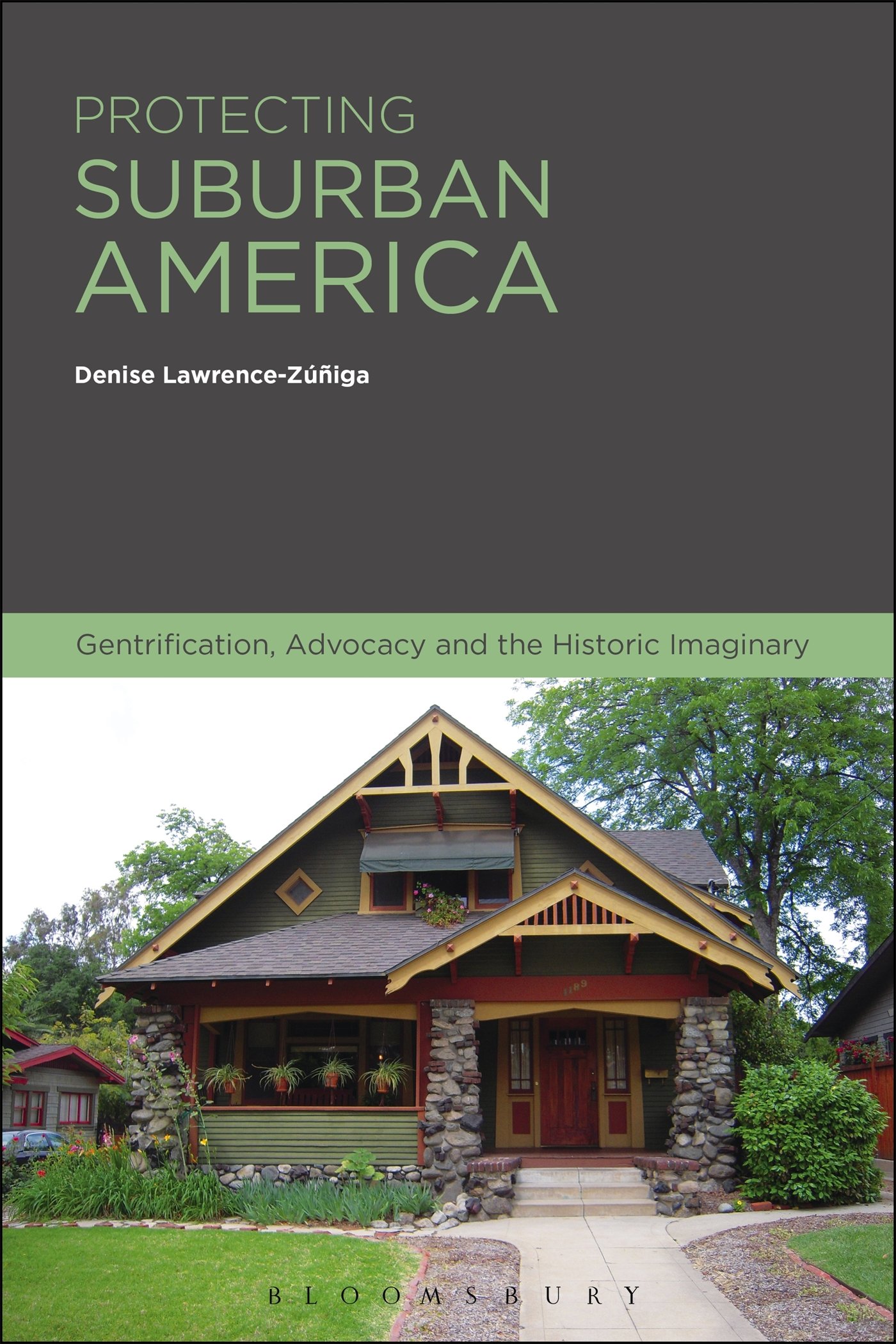 Protecting Suburban America: Gentrification, Advocacy & Historic Preservation | Urban Development & Community Impact Studies | Perfect for Researchers, Policy Makers & Social Activists
