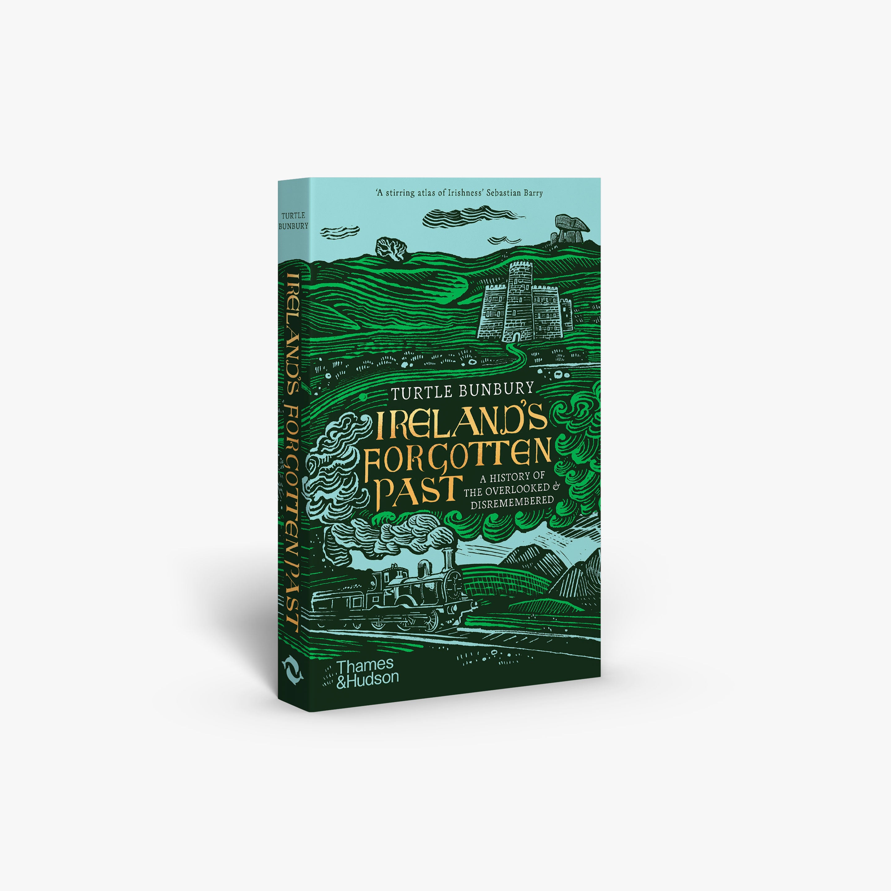 Ireland's Forgotten Past: A Captivating Journey Through Irish History - Perfect for History Buffs & Ancestry Research