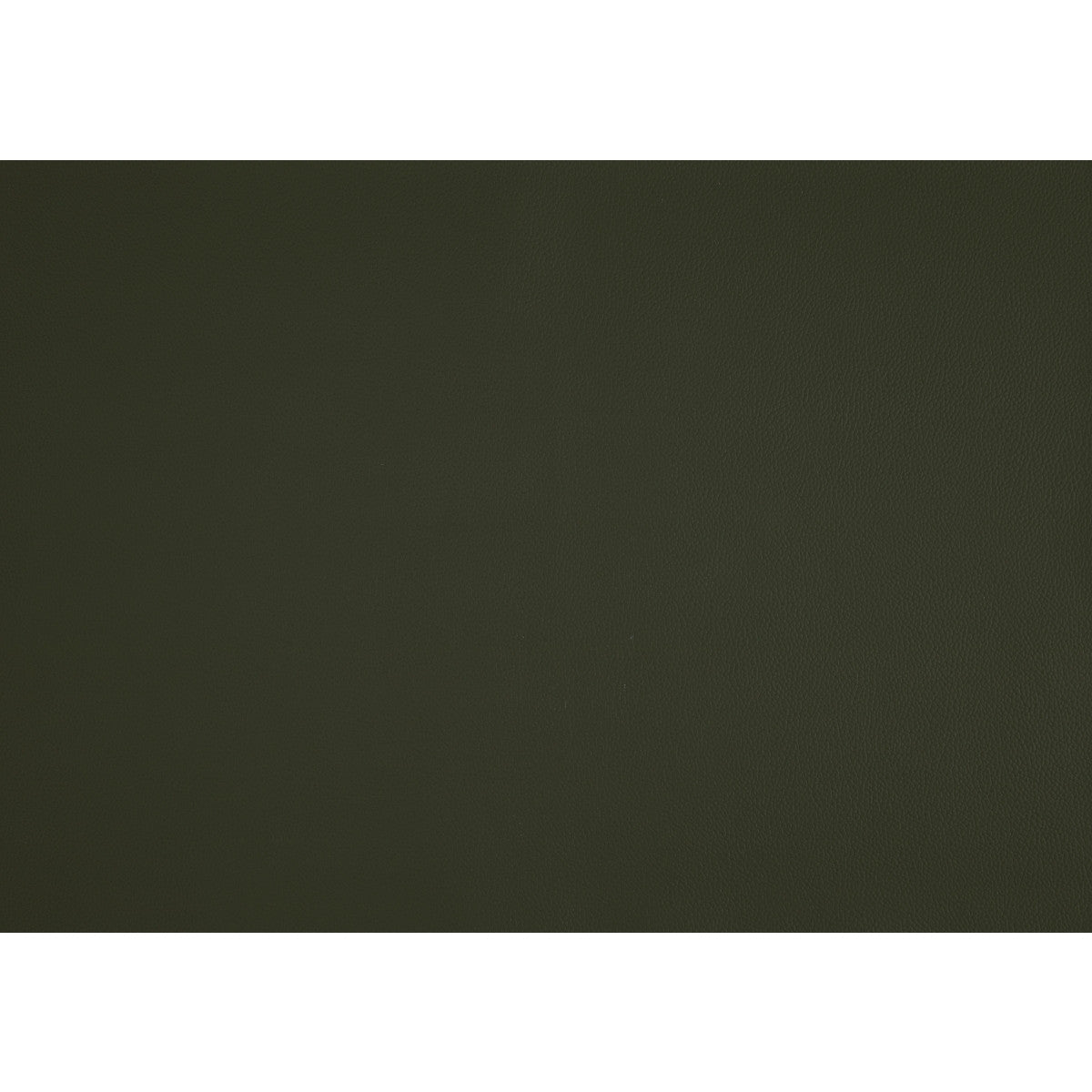 Archam Accent Chair in Green - Modern Lounge Chair for Living Room, Bedroom & Office Decor