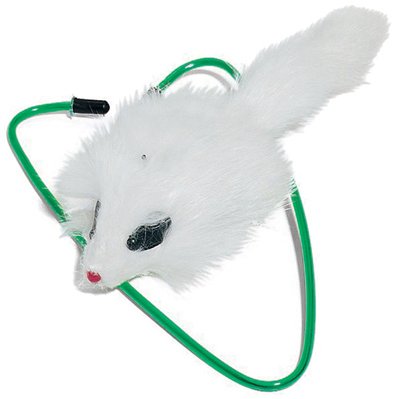 A-Door-Able Real Fur Cat Toy Mouse - Natural Soft Fur for Play & Training - Perfect for Indoor Cats & Kittens to Chase & Pounce