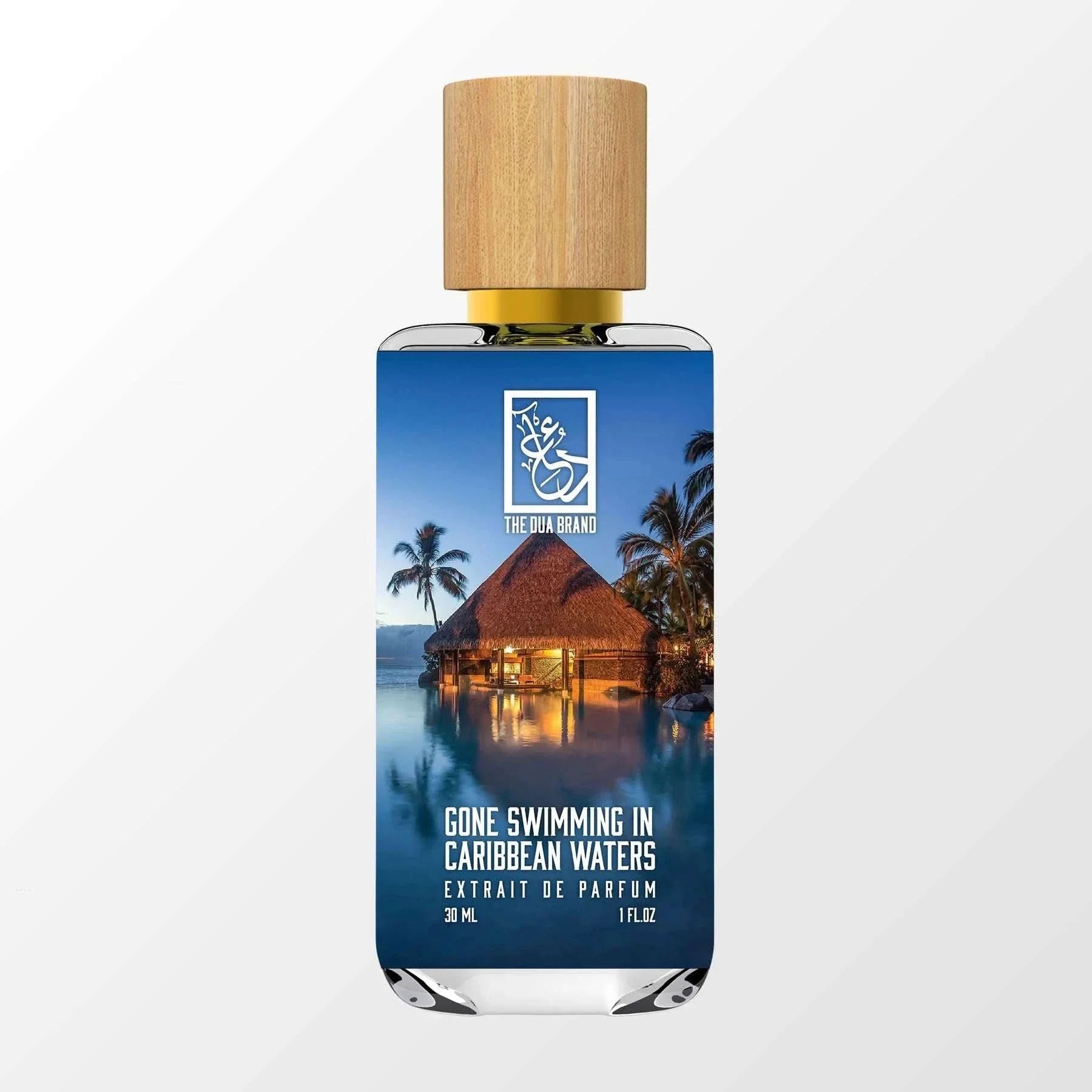 Gone Swimming in Caribbean Waters - Stylish Swimwear for Tropical Vacations & Beach Getaways | Perfect for Pool Parties & Summer Travel