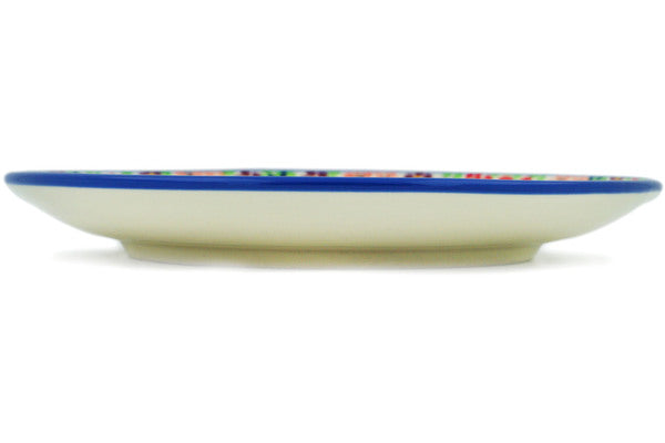 10-Piece Dinner Plate Set - Summer Burst Colorful Ceramic Plates for Dining, Entertaining & Everyday Use | Microwave & Dishwasher Safe Dinnerware for Family Meals, Parties & Special Occasions