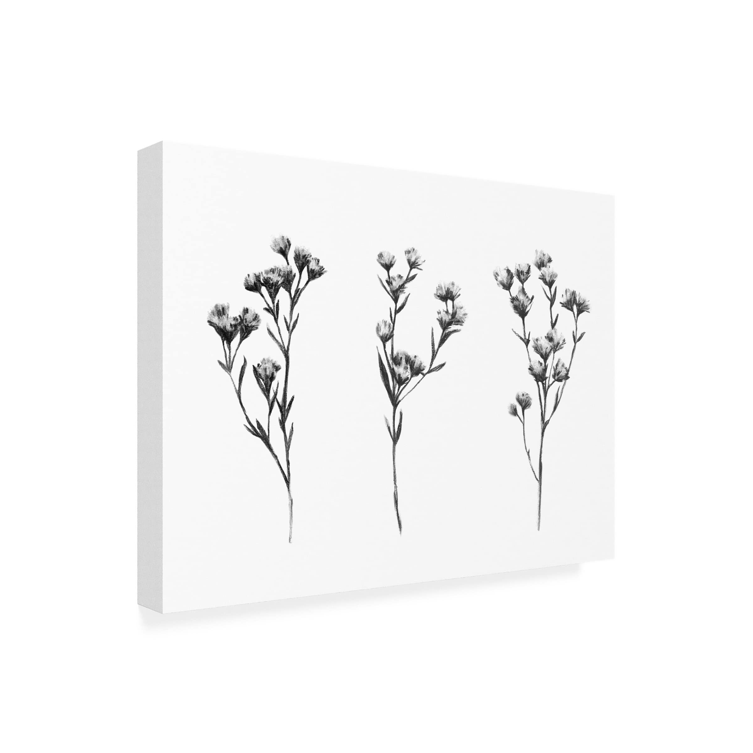 Emma Scarvey 'Wild Thistle IV' Canvas Wall Art Print - Floral Botanical Home Decor for Living Room, Bedroom & Office