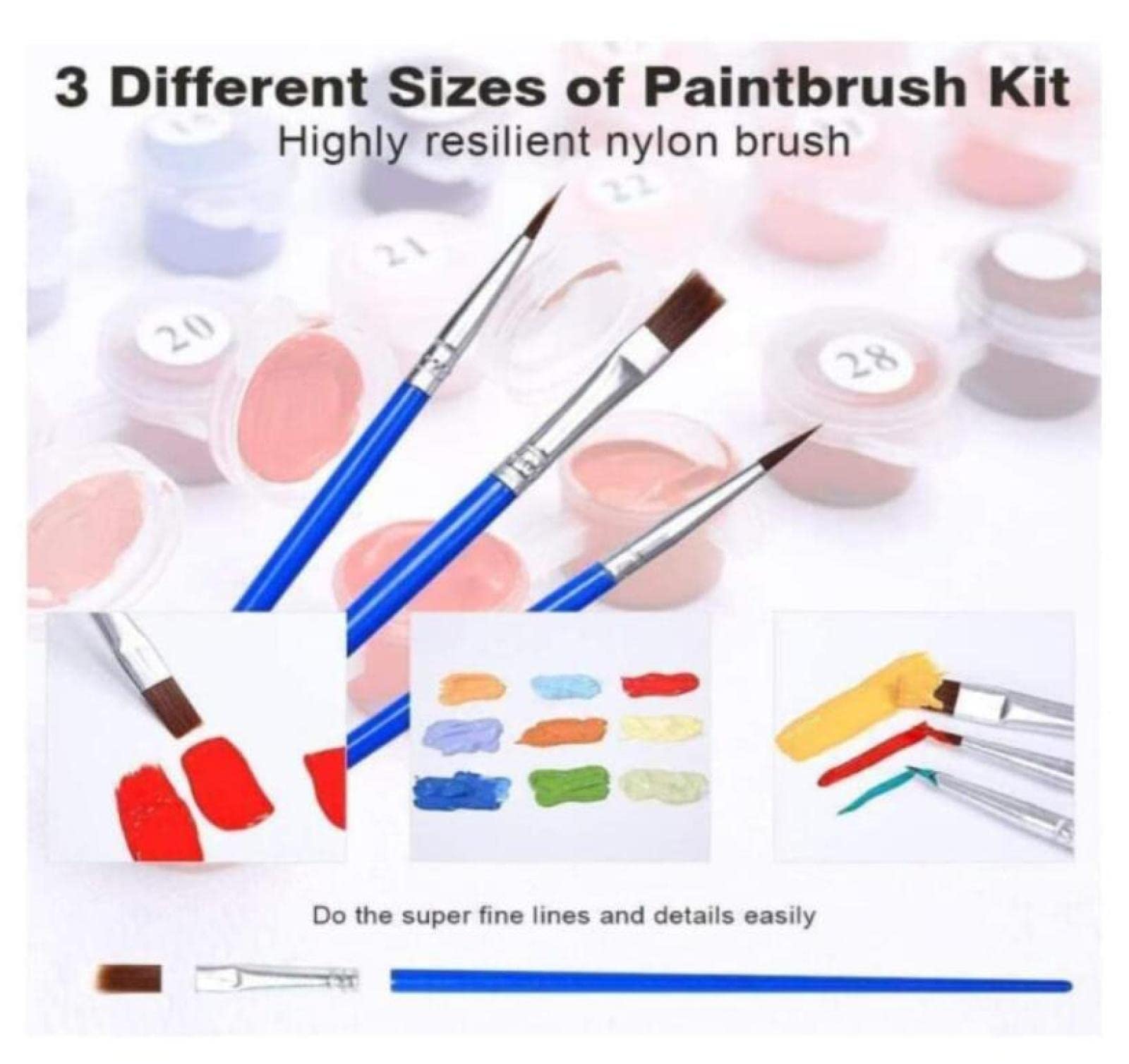 Dachshund Dog Paint by Numbers Kit for Kids Ages 8-12 & Adults - DIY Digital Painting for Beginners, Wall Art Decor, Creative Gift for Girls & Boys - Perfect for Home Decor, Birthday Gifts & Relaxation Therapy