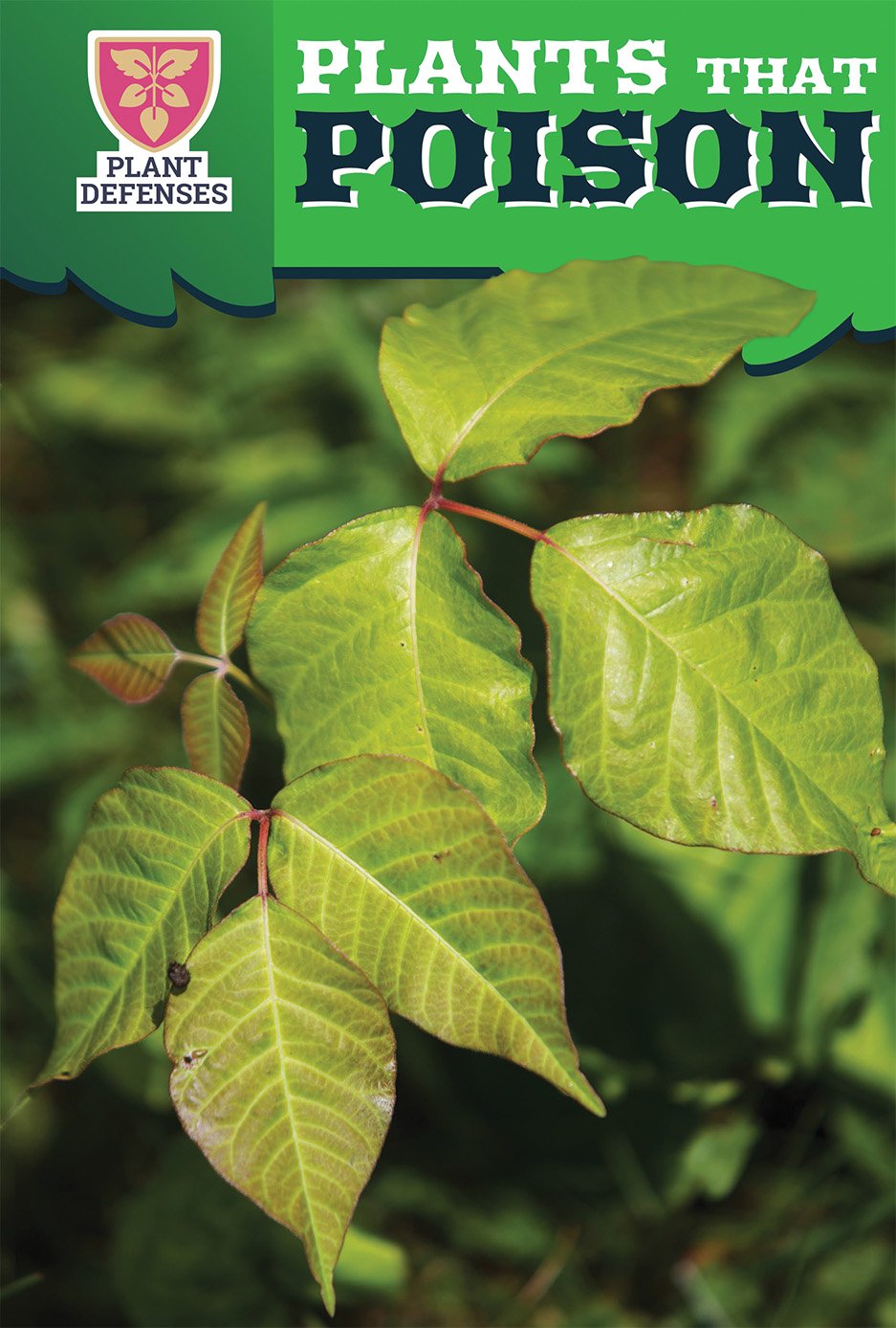 Poisonous Plants: A Guide to Toxic Plant Defenses for Garden Safety | Home Gardening & Outdoor Protection