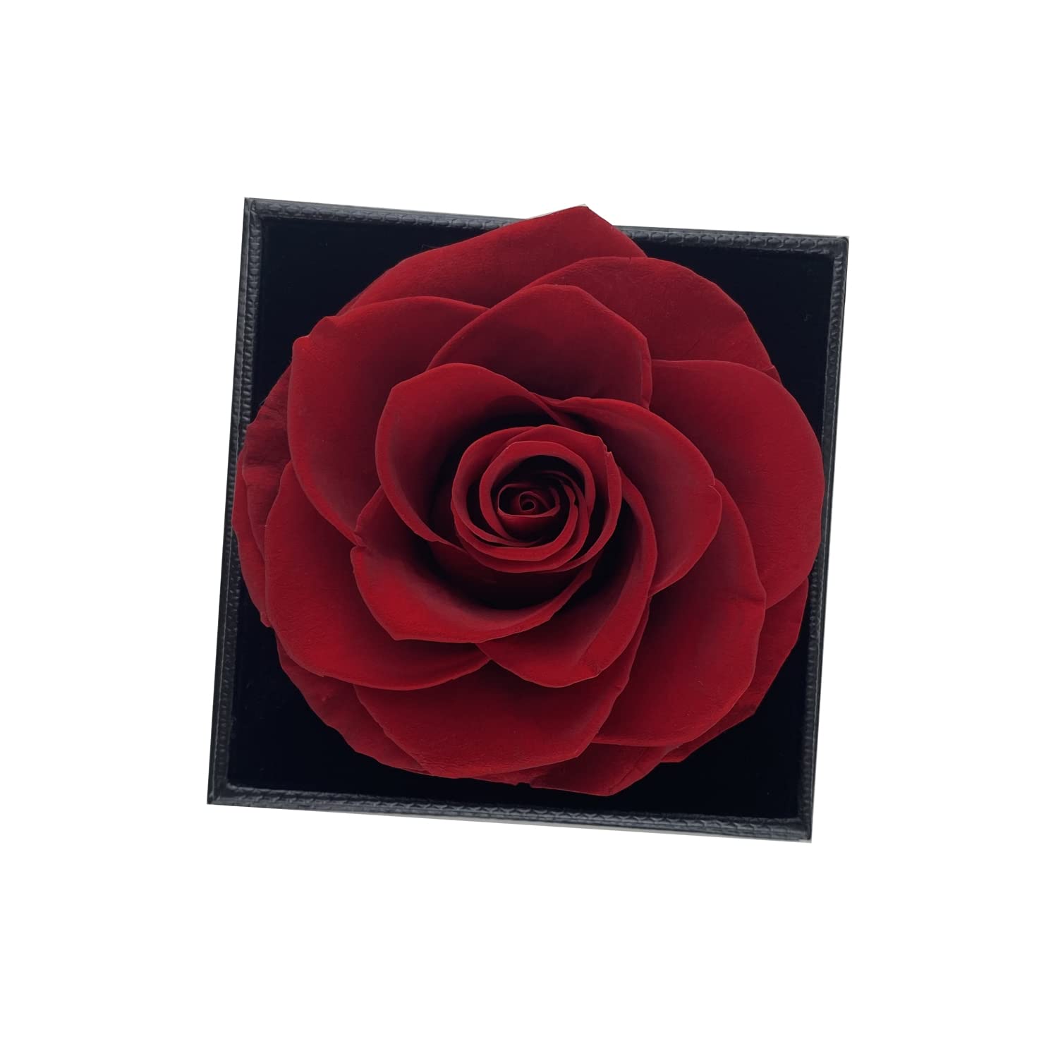 Real Preserved Rose in Glass Dome - Romantic 'I Love You' Gift for Women, Mom, Wife, Girlfriend | Valentine's Day, Mother's Day, Birthday Present | Perfect for Home Decor, Wedding Centerpiece & Anniversary Keepsake