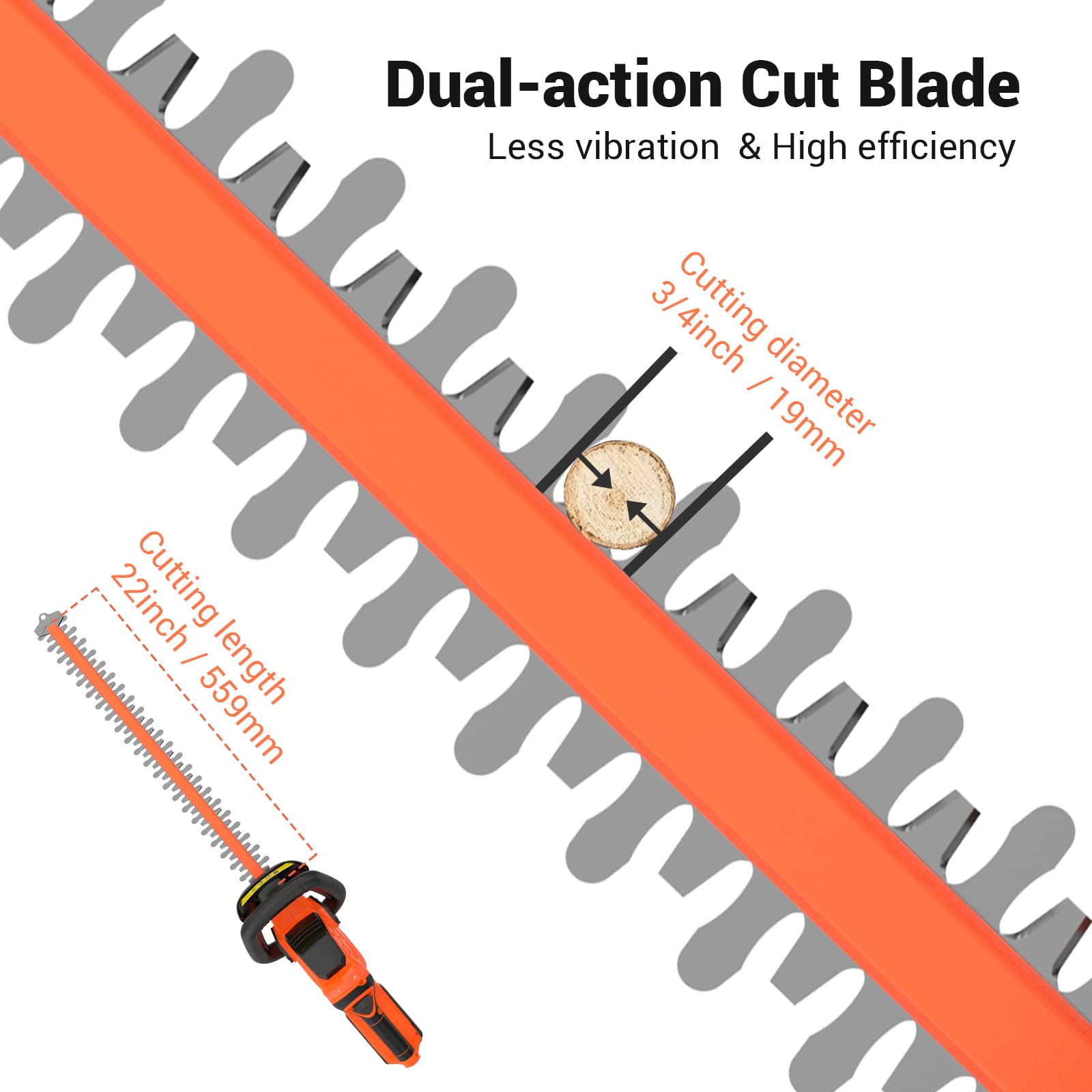 Upgraded 20V 4.0Ah Cordless Hedge Trimmer - 22 Inch Dual-Action Blade, 3000 RPM Power for Fast Cutting | Includes Battery & Fast Charger | Safety Double Switch | Perfect for Landscaping, Garden Maintenance & Yard Work