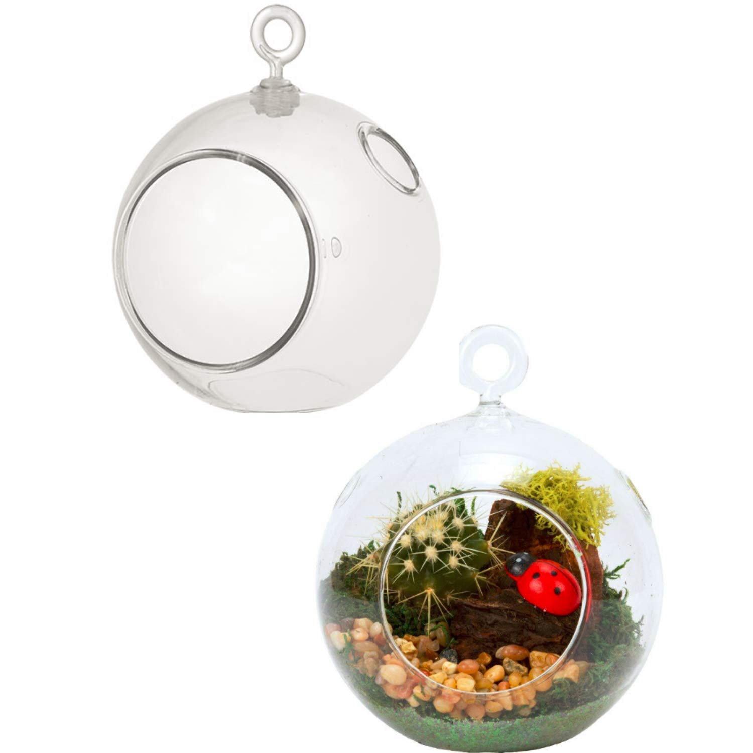 2 Pack Clear Plastic Terrarium Globes - Shatter-Proof DIY Plant Terrarium Kit for Home Decor, Mini Garden & Succulent Display - Perfect for Indoor Plants, Fairy Gardens, and Office Desk Decorations
