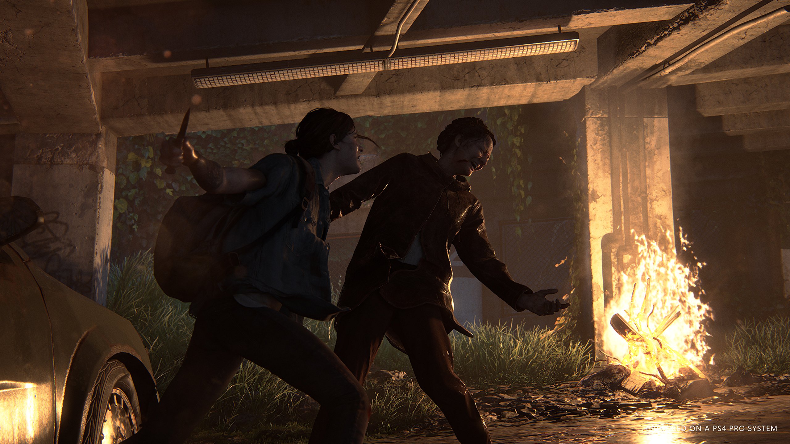 The Last of Us Part II - PS4 Standard Edition (English & German) - Action-Adventure Survival Game for PlayStation 4 - Perfect for Post-Apocalyptic Storytelling & Intense Combat Gameplay