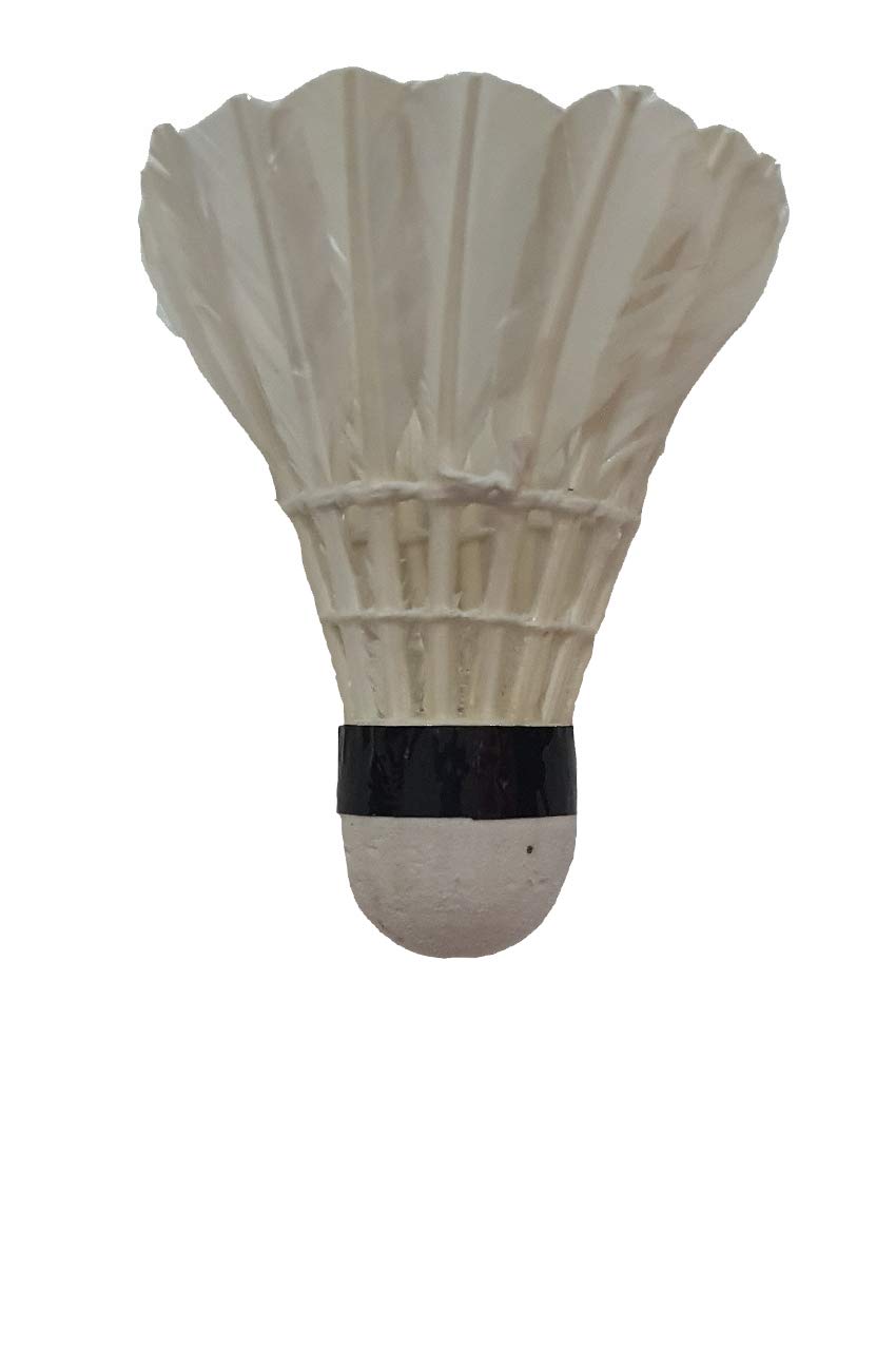 Premium JLG Feather Badminton Shuttlecocks - Set of 10 High-Quality Goose Feather Birdies for Professional & Recreational Play - Perfect for Tournaments, Training & Backyard Games