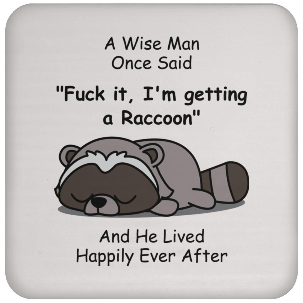 Funny Raccoon Coaster Set - Unique Christmas Gifts for Men 2022 - Cute Animal Drink Coasters for Beer, Coffee & Home Bar Decor