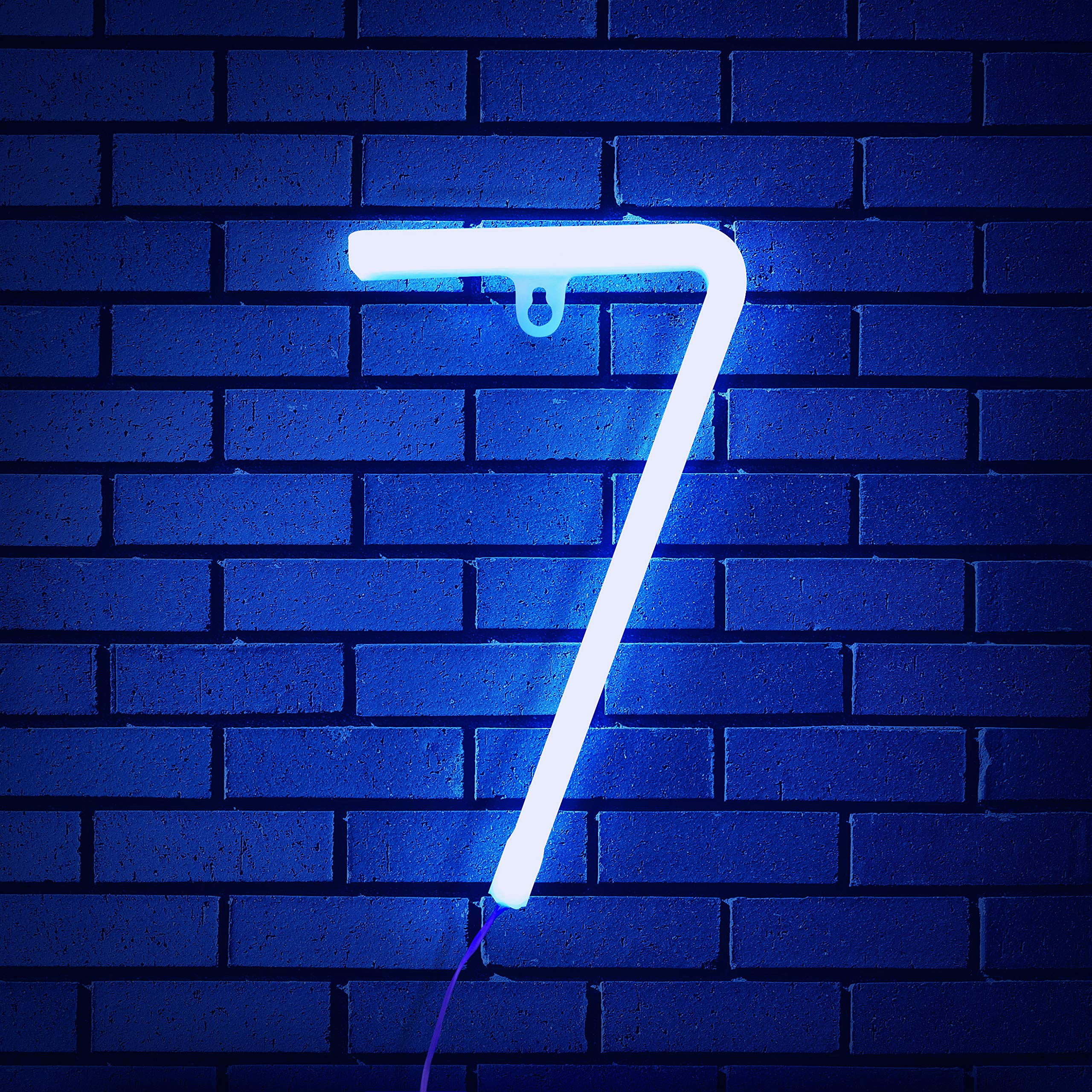 Custom LED Neon Letter Signs A-Z & 0-9 - Blue Wall Decor for Home, Bar, Wedding & Events - Battery/USB Powered Dimmable Neon Lights for Bedroom, Party & Business Signage
