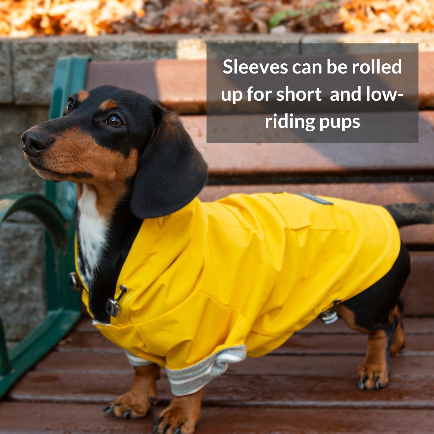 DJANGO Highland Waterproof Dog Jacket with Hood - Adjustable Lightweight Blue Coat for Small & Medium Dogs | Harness Hole, Cozy Lining & Back Pocket | Perfect for Outdoor Hiking, Winter Walks & Rainy Day Adventures (Medium, Blue)