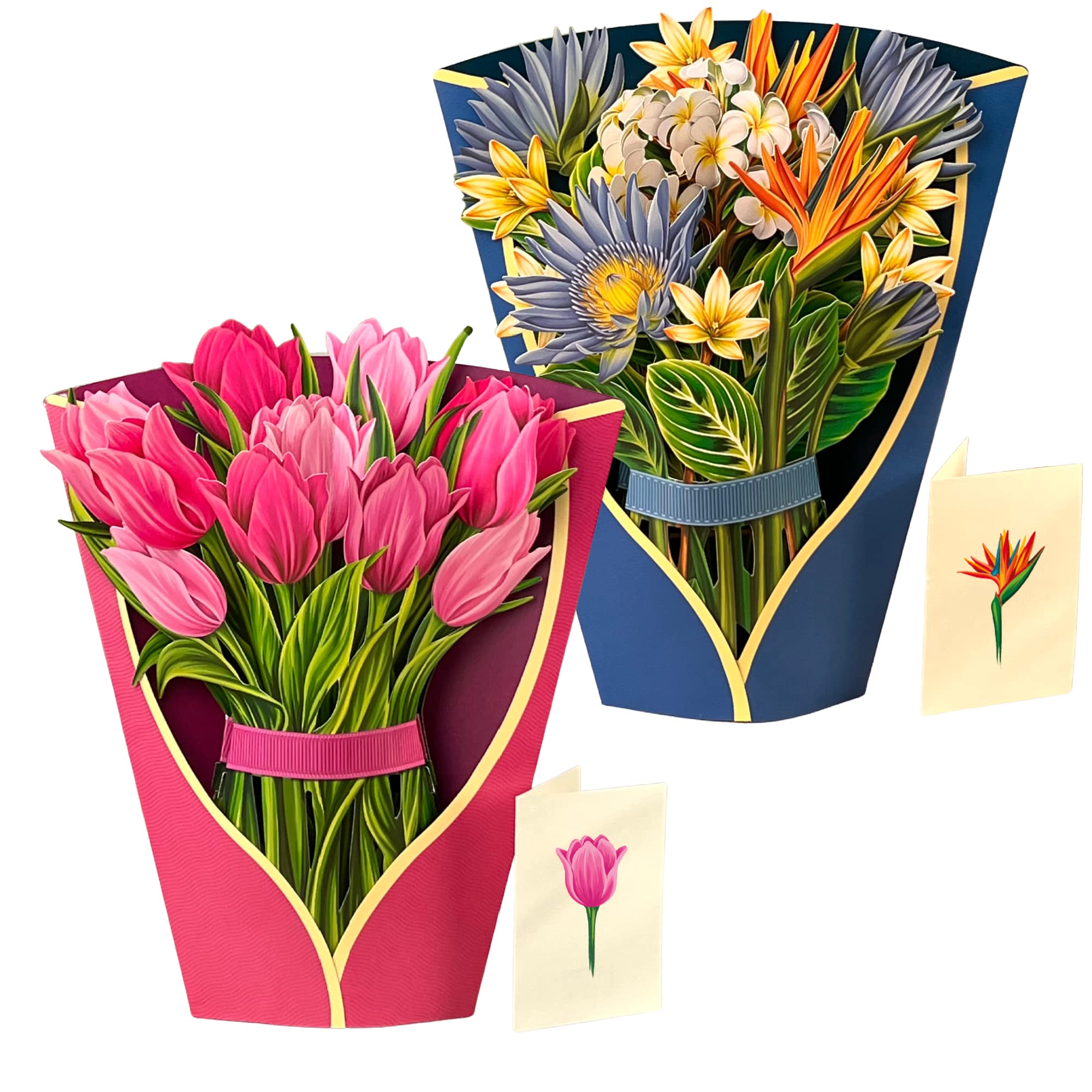 FreshCut 3D Pop Up Greeting Cards - Tropical Bloom & Pink Tulips Forever Flower Bouquet Set (12 Inch Life-Sized, Includes Note Cards & Envelopes) - Perfect for Birthdays, Anniversaries, and Special Occasions