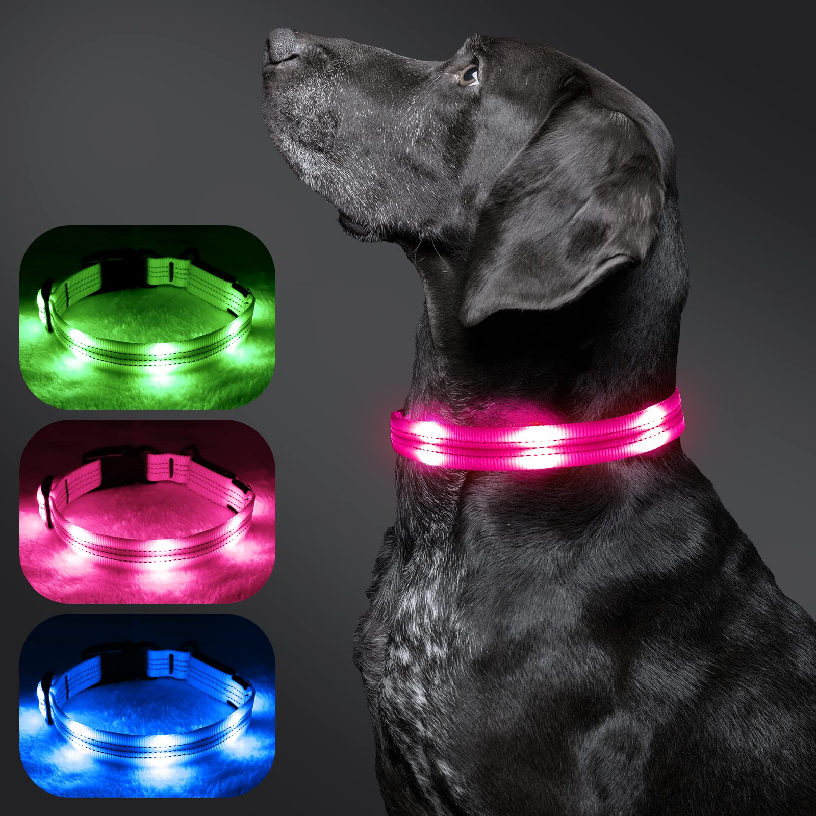 BSEEN Rechargeable LED Dog Collar with Reflective Strip - Glowing Safety Collar for Small Medium Large Dogs | Night Walking, Jogging, Camping & Outdoor Adventures