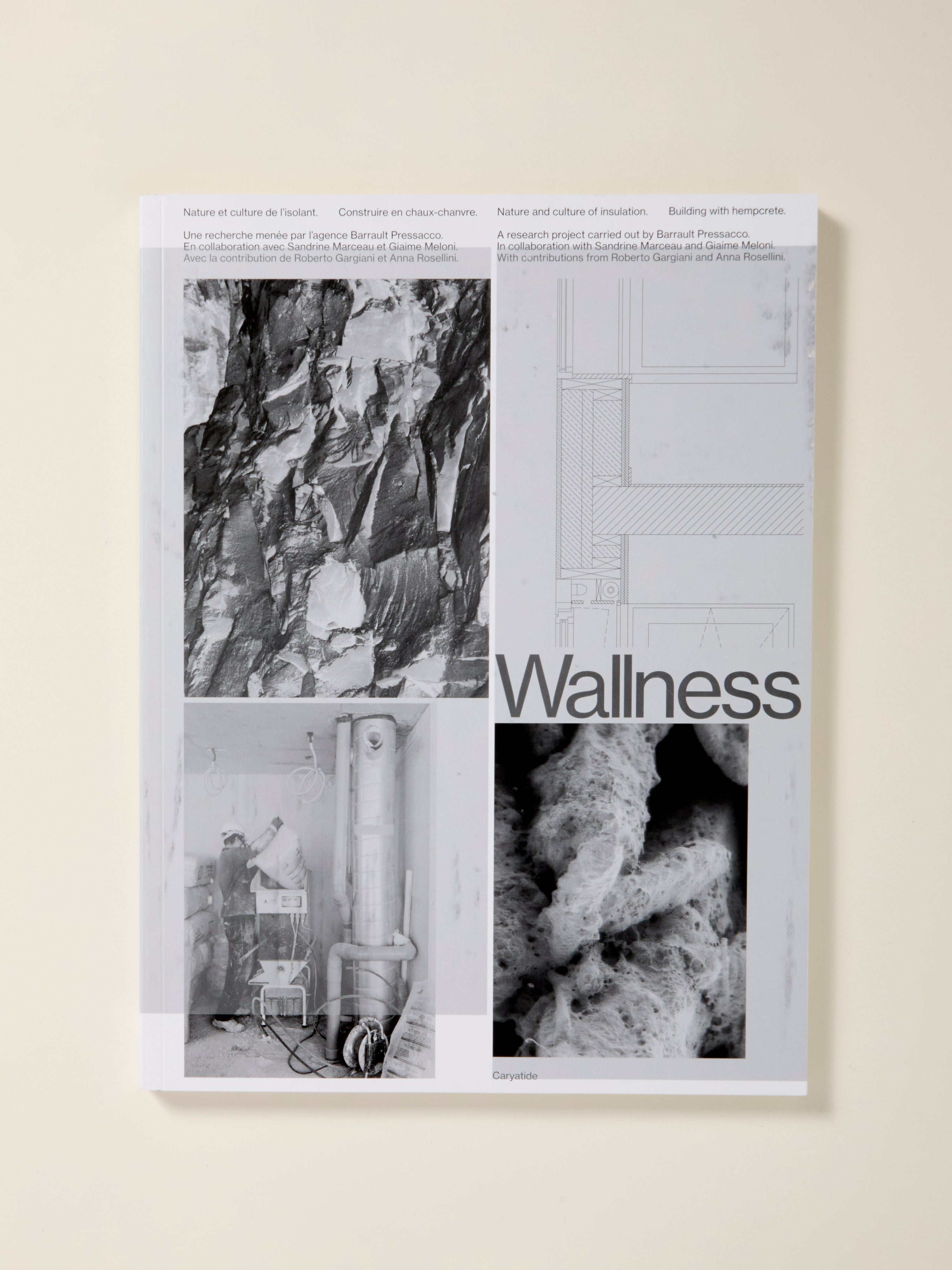 Wallness: Eco-Friendly Hempcrete Insulation for Sustainable Building - Natural & Cultural Construction Material for Green Homes & Energy-Efficient Structures