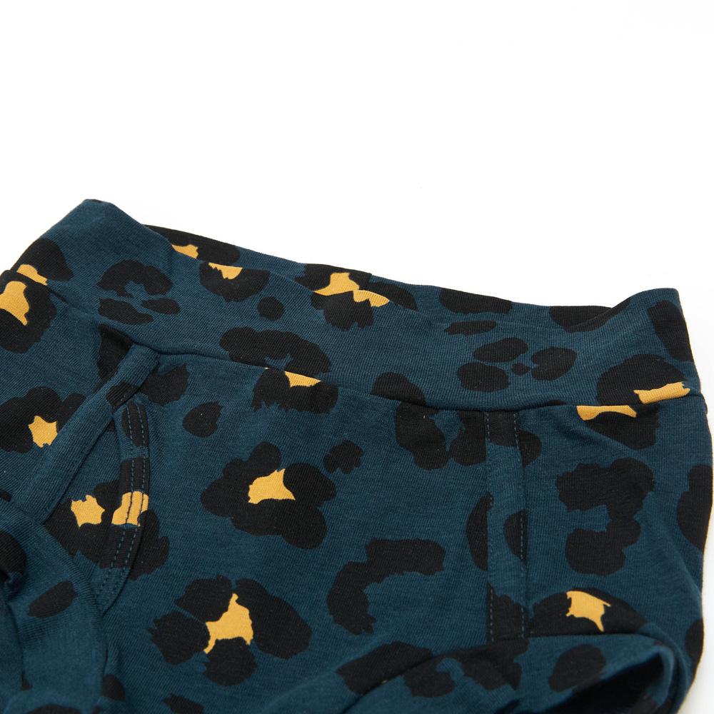 Boys Leopard Print Night Sky Underwear - Soft Cotton Briefs for Kids - Comfortable Sleepwear & Lounge Wear for Boys