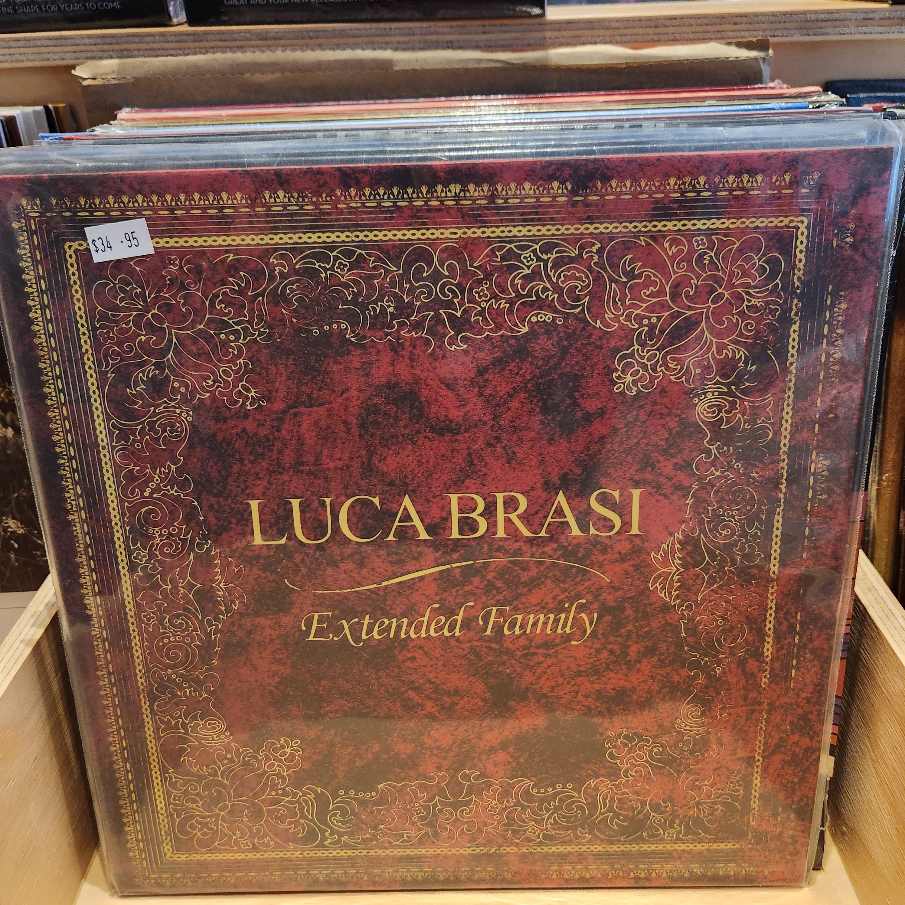 LUCA BRASI 'Extended Family' Vinyl LP Record - Classic Rock Music Album for Collectors & Audiophiles | Perfect for Home Listening, Gifts & Music Enthusiasts