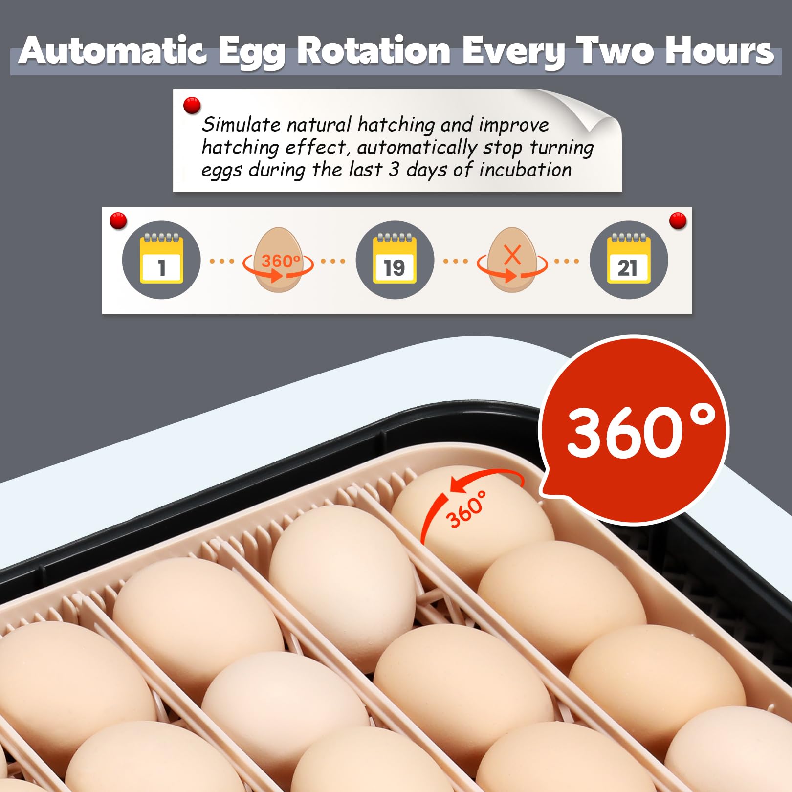 Sailnovo 56 Egg Incubator - Automatic Egg Turner, Temperature & Humidity Control, Built-in Candler for Chicken, Duck & Quail Eggs (18.7