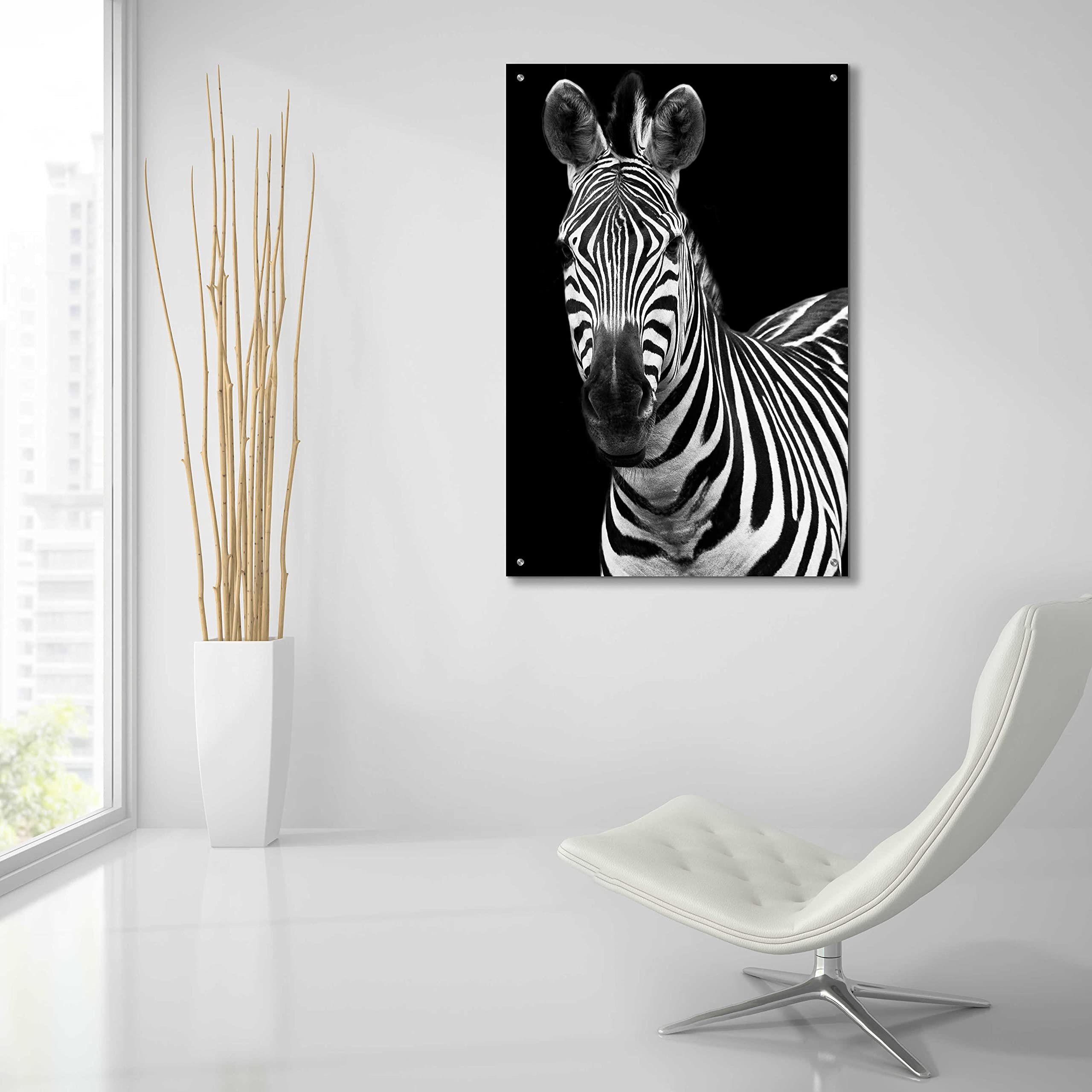 Debra Van Swearingen 'Zebra II' Acrylic Glass Wall Art - 24x36 Inches Modern Animal Print Painting for Living Room, Bedroom & Office Decor